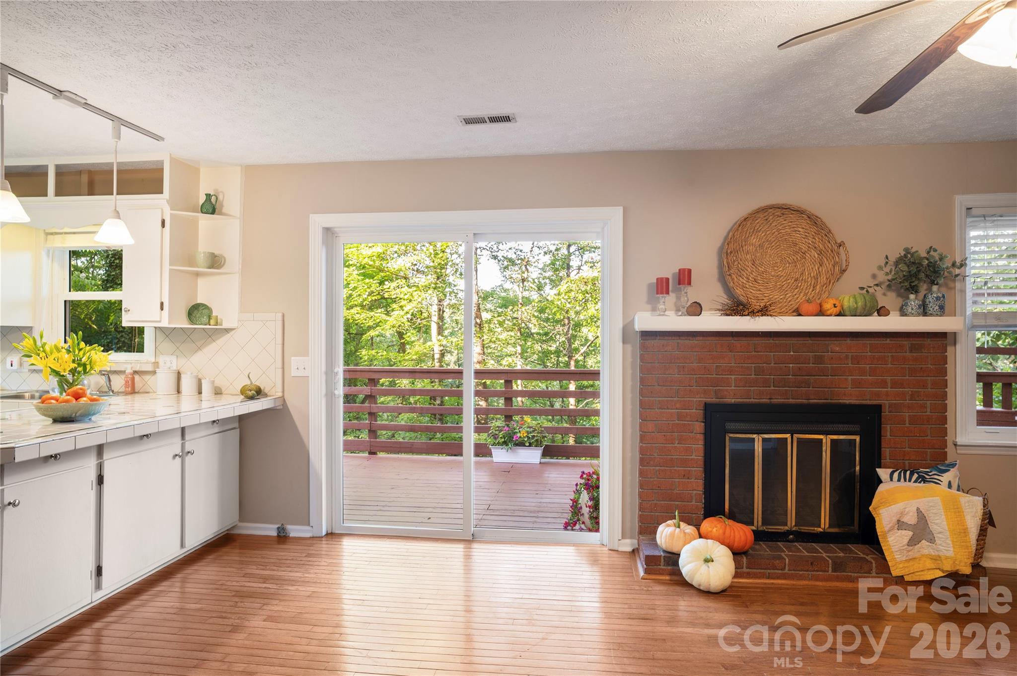 Single Family Residence at 8 Galax Lane, Hendersonville, photo 21 of 48