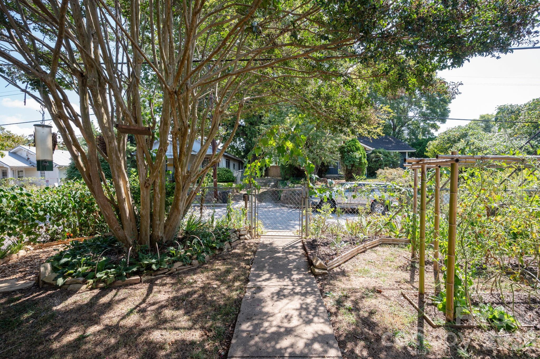 Fenced in Front Yard - 201 Logan Avenue, Asheville