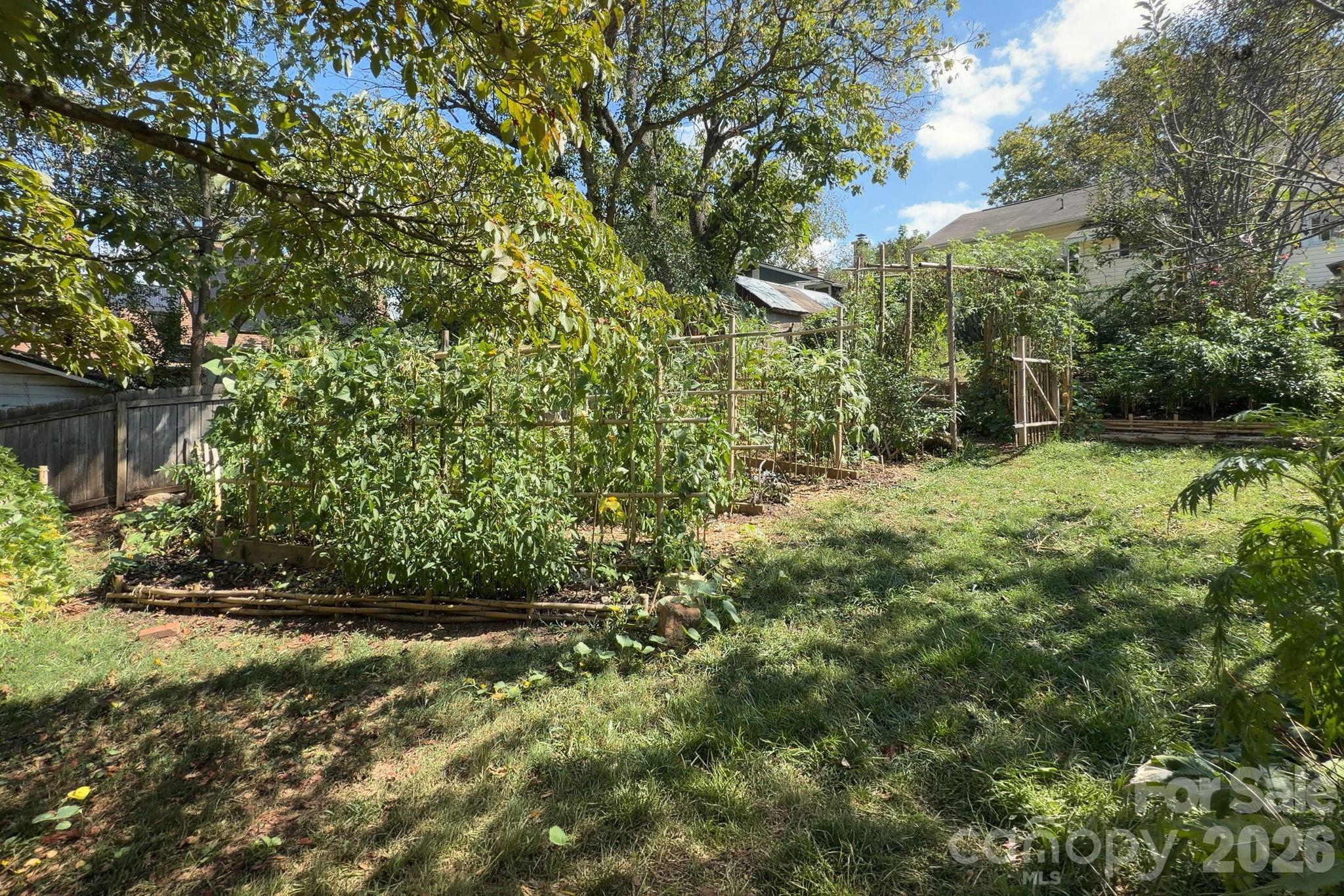 Backyard - 201 Logan Avenue, Asheville
