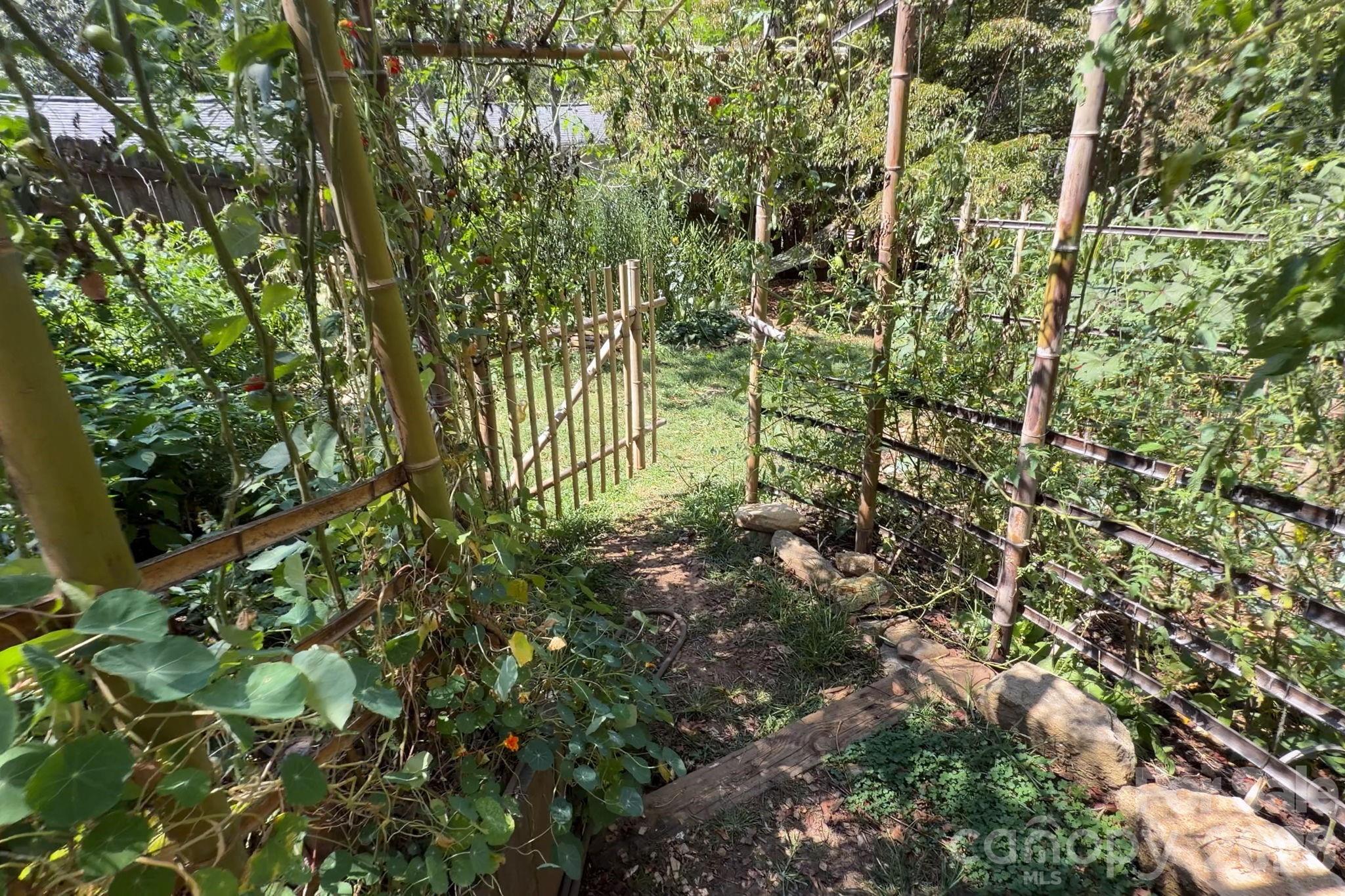 Lower Back Yard - 201 Logan Avenue, Asheville