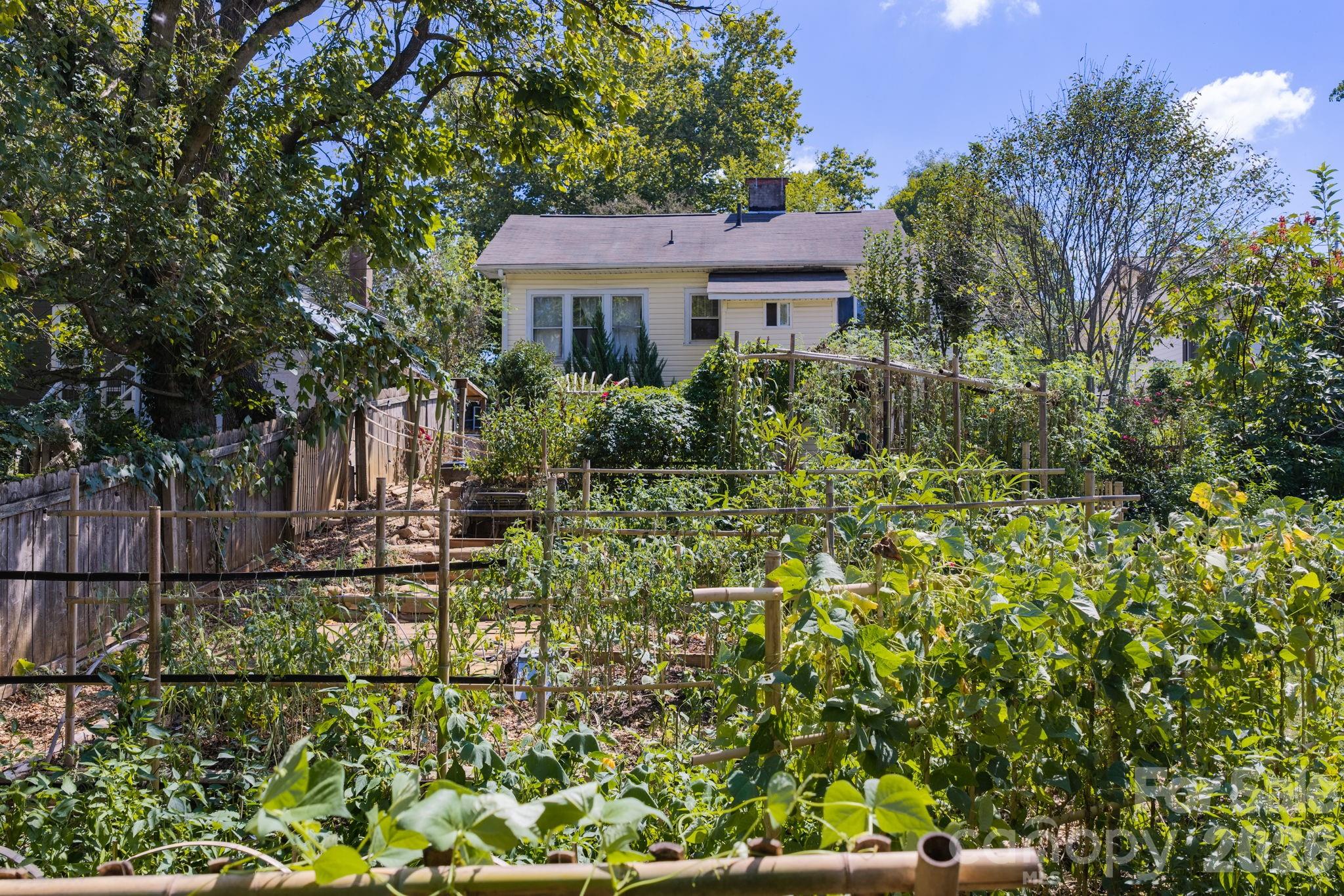 Your Own Urban Edible Forest - 201 Logan Avenue, Asheville