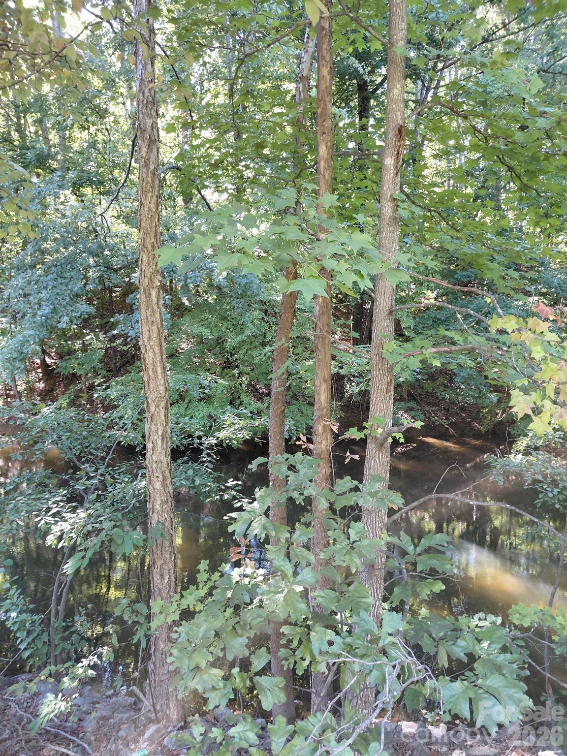 Acreage at 141-147-151 Trollingwood Lane, Mooresville, photo 6 of 16