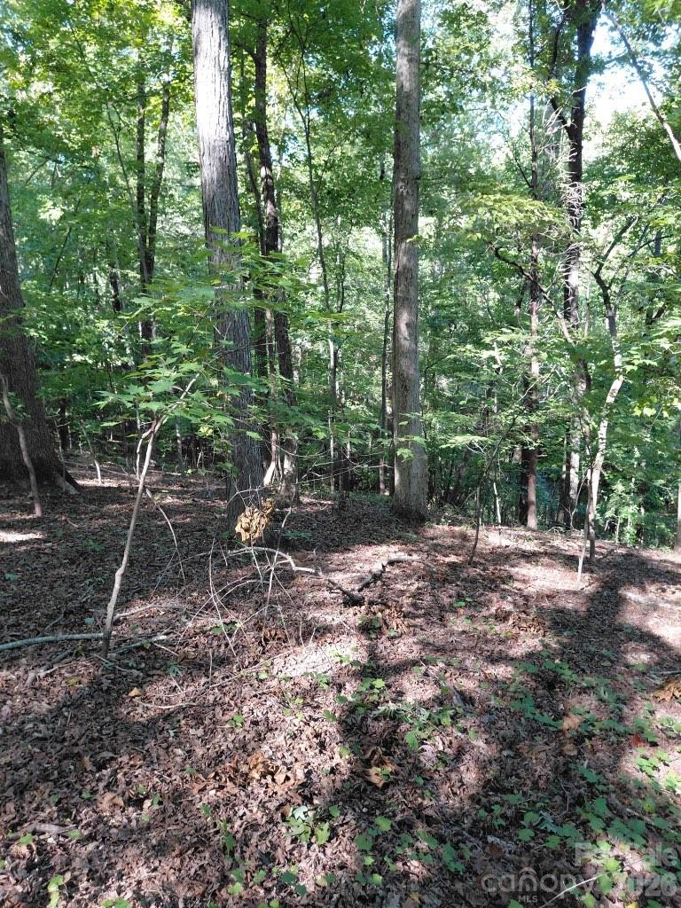Acreage at 141-147-151 Trollingwood Lane, Mooresville, photo 7 of 16