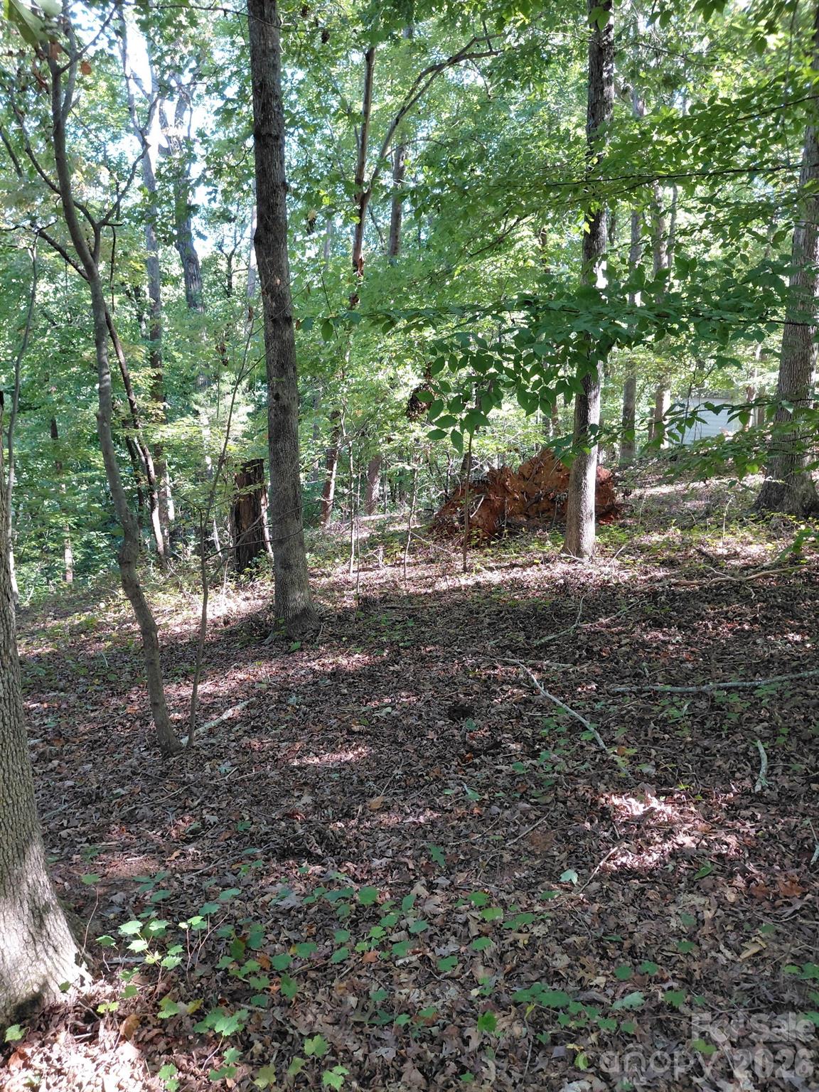 Acreage at 141-147-151 Trollingwood Lane, Mooresville, photo 8 of 16