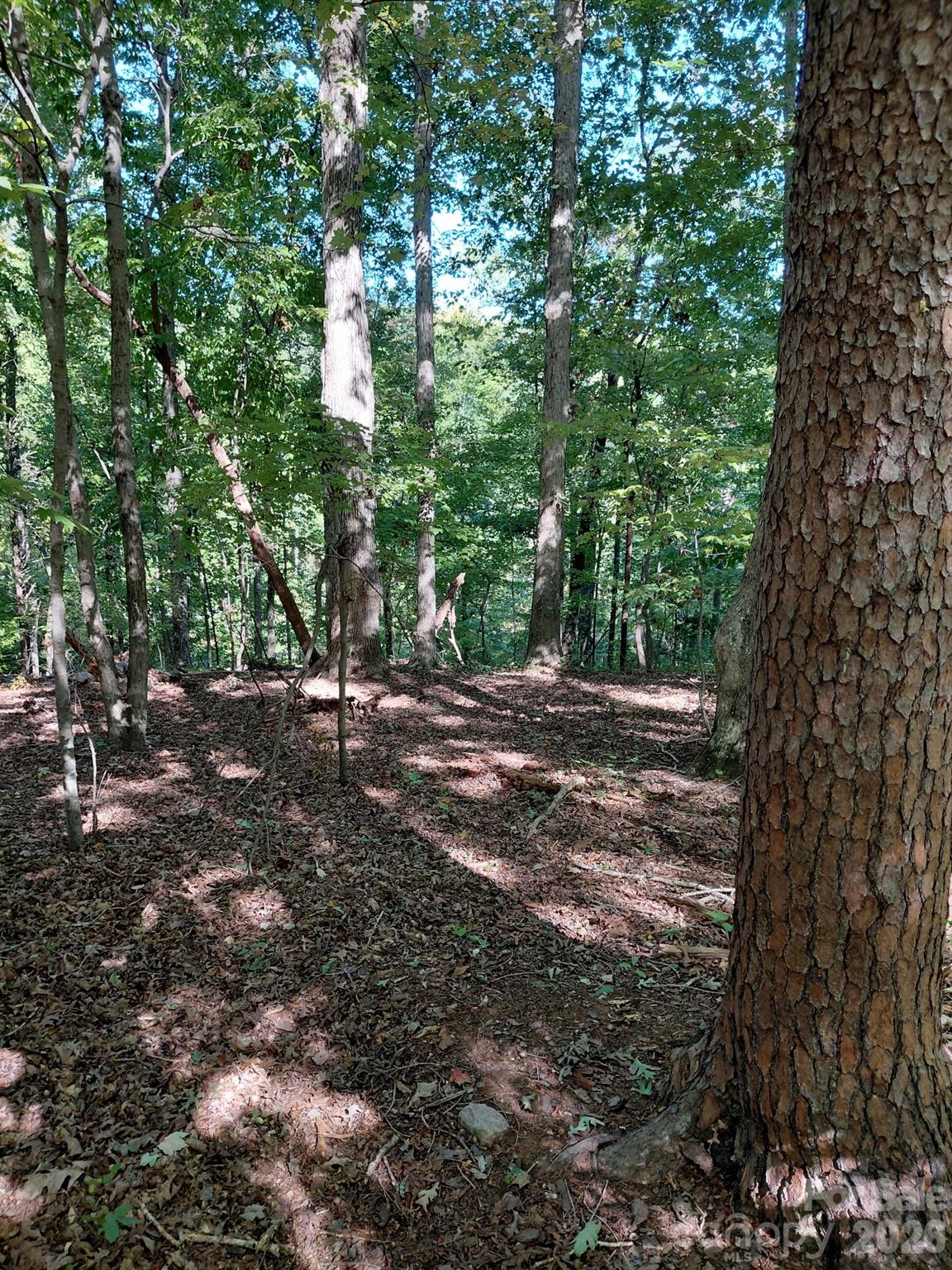 Acreage at 141-147-151 Trollingwood Lane, Mooresville, photo 9 of 16