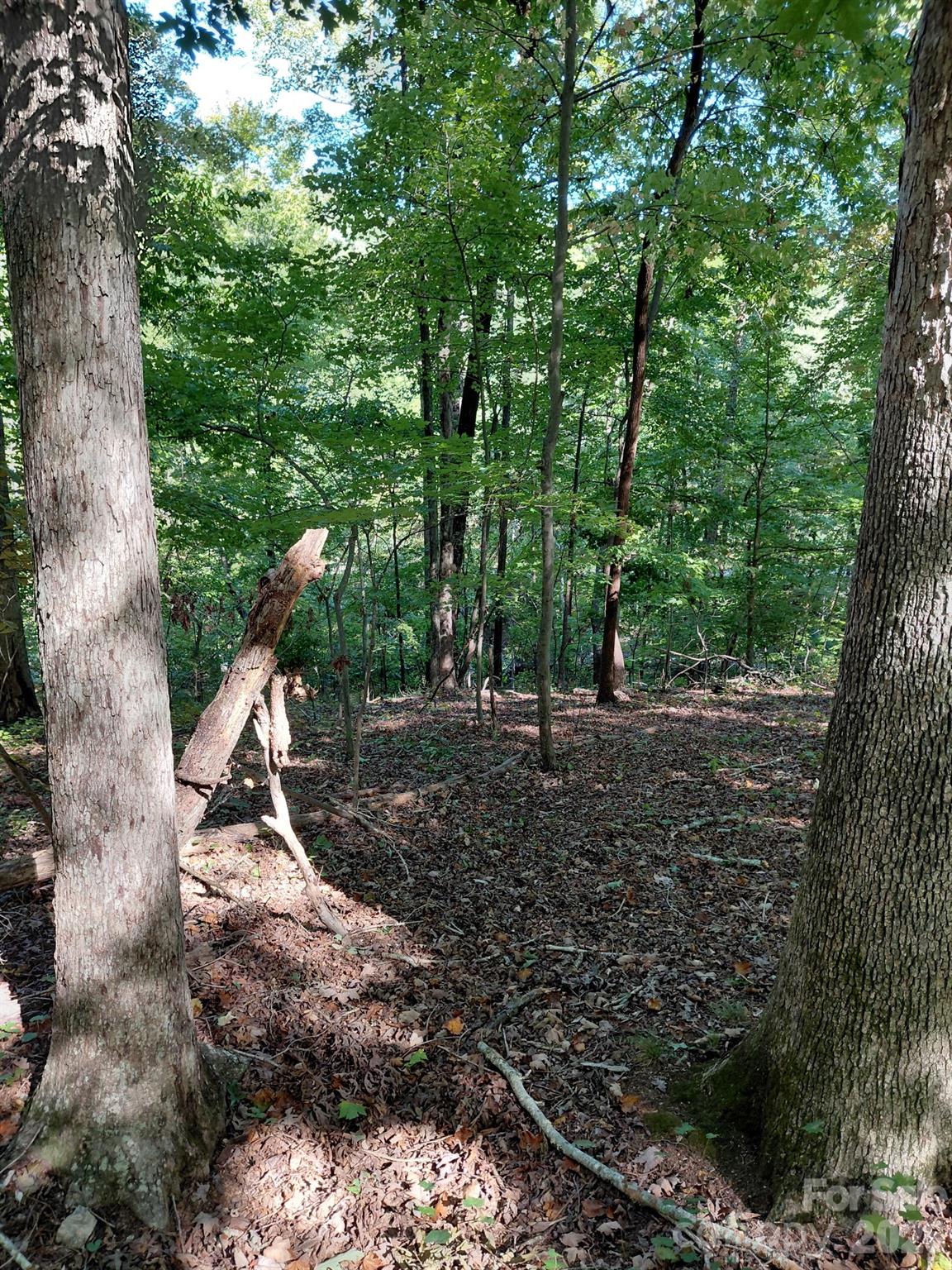 Acreage at 141-147-151 Trollingwood Lane, Mooresville, photo 11 of 16