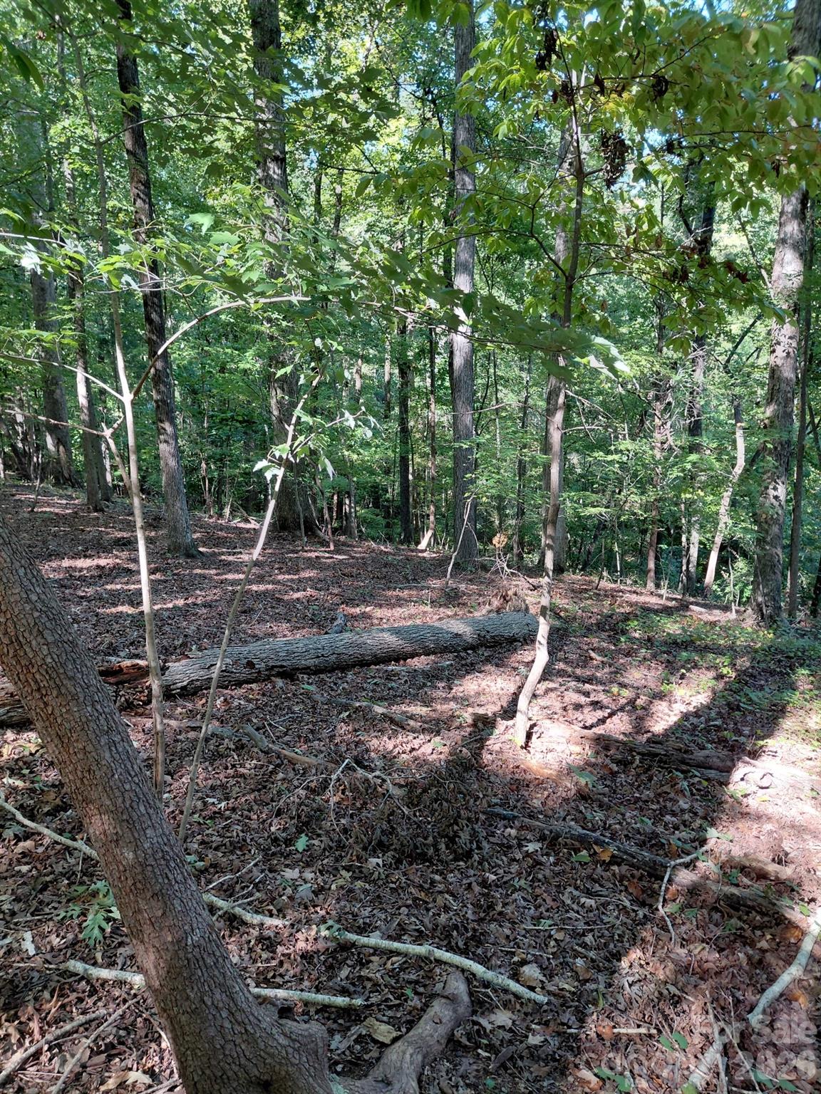 Acreage at 141-147-151 Trollingwood Lane, Mooresville, photo 12 of 16