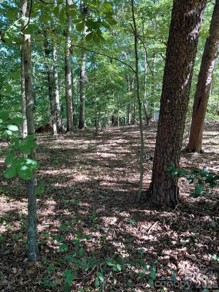 Acreage at 141-147-151 Trollingwood Lane, Mooresville, photo 15 of 16