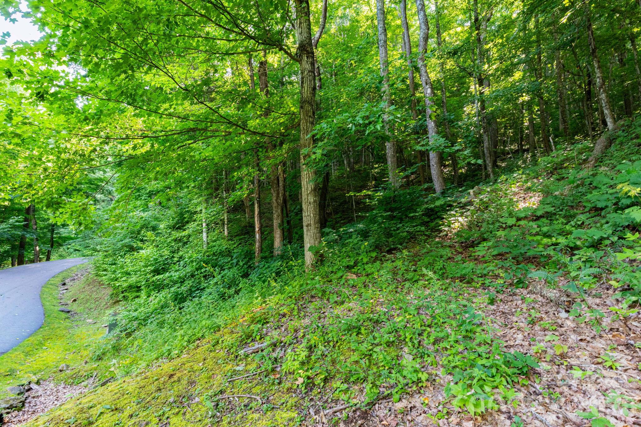 Lot 30. - 30 Finlaystone Trace, Waynesville