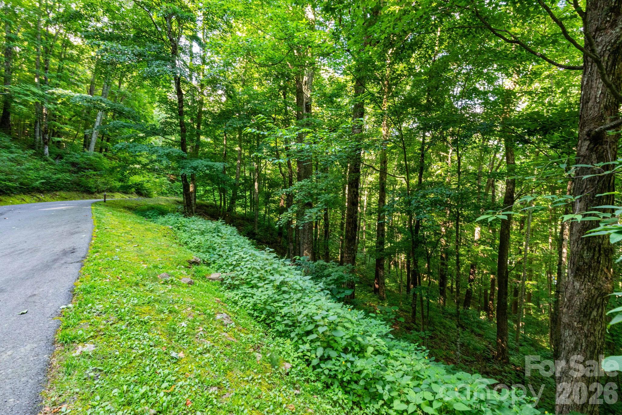 Lot 25. - 25 Finlaystone Trace, Waynesville