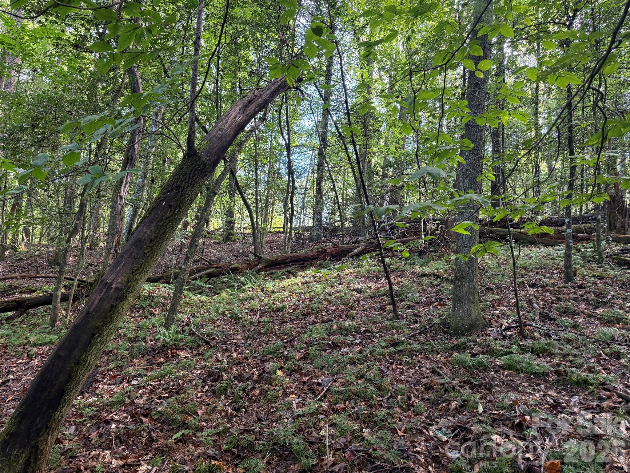 Wooded lot with nice building site - 000 Reserve Way, Hendersonville