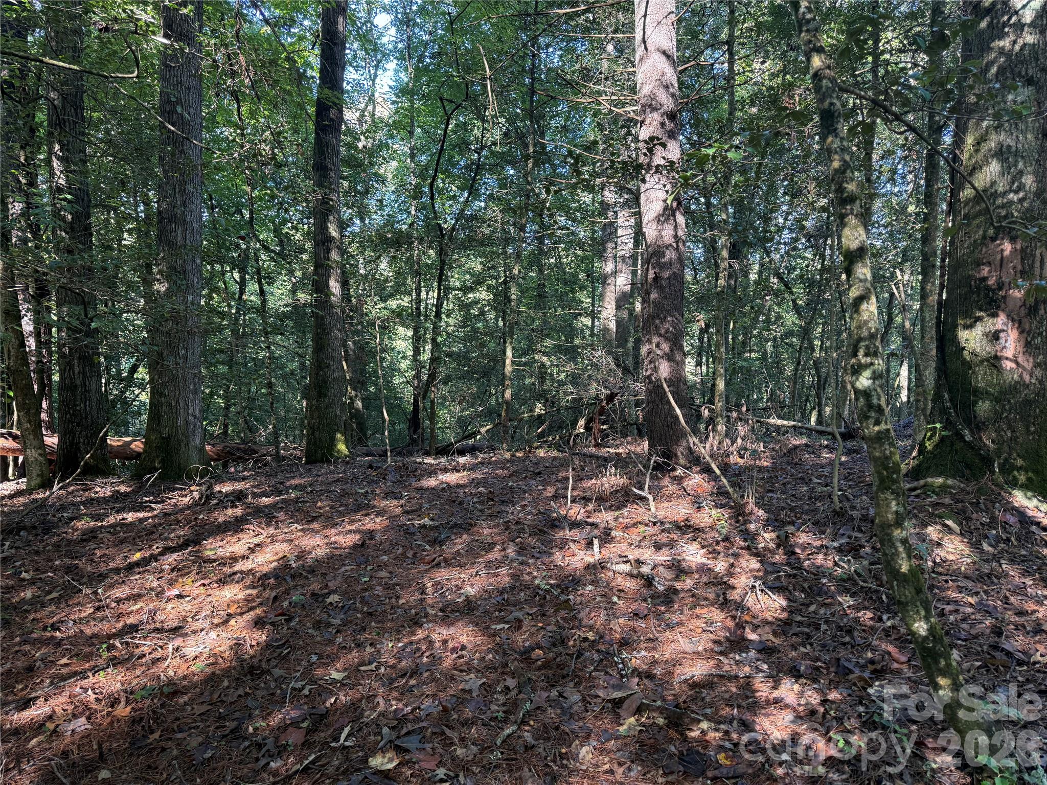 Trees could be removed for long range winter mountain views - 000 Reserve Way, Hendersonville
