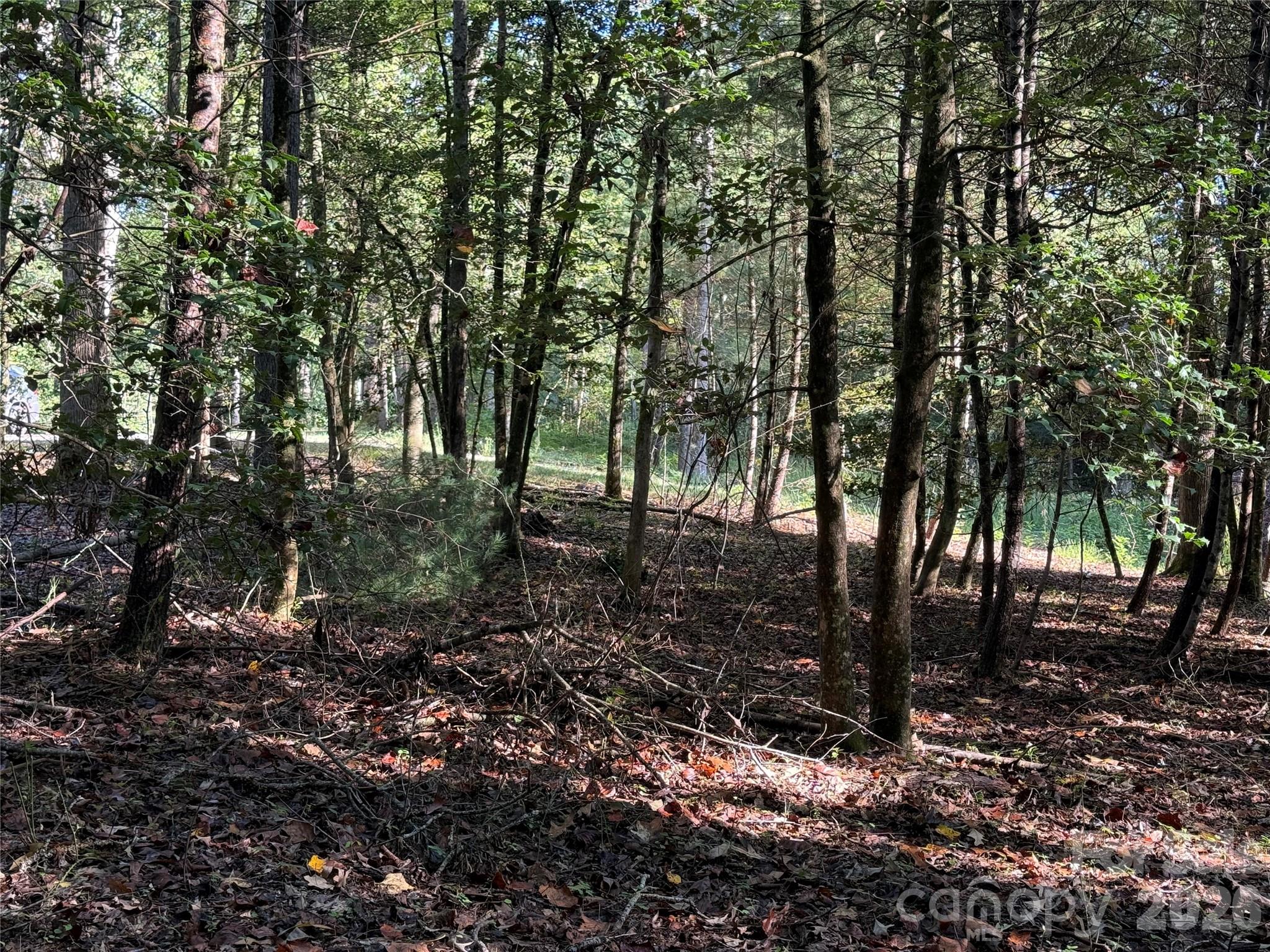 Acreage at 000 Reserve Way, Hendersonville, photo 7 of 19