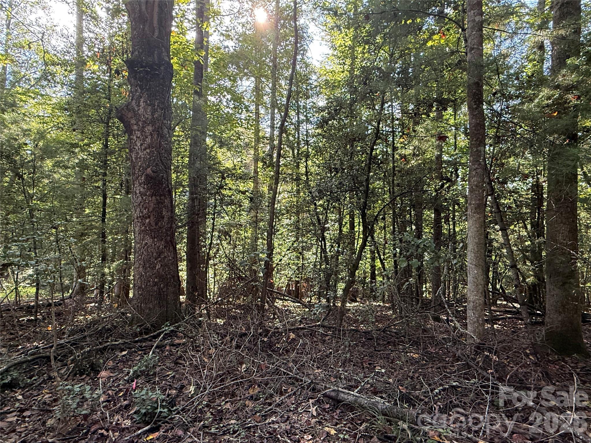 Acreage at 000 Reserve Way, Hendersonville, photo 8 of 19