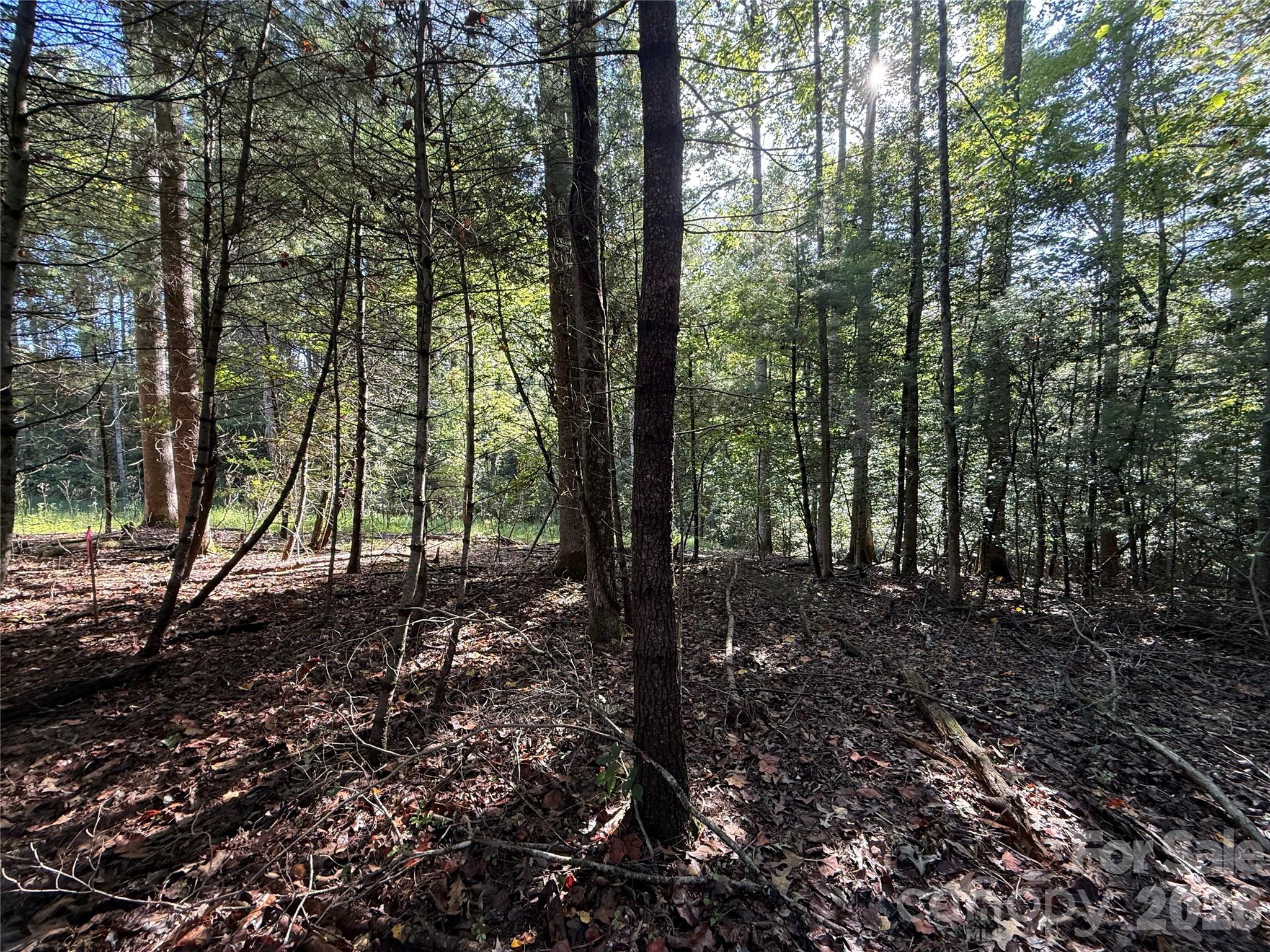 Acreage at 000 Reserve Way, Hendersonville, photo 9 of 19