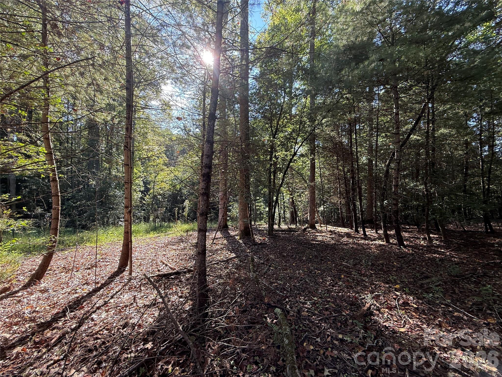 Acreage at 000 Reserve Way, Hendersonville, photo 10 of 19
