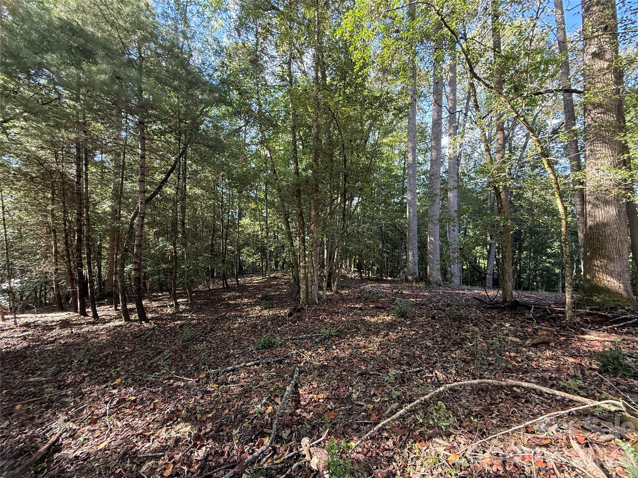 Level building site near top of property - 000 Reserve Way, Hendersonville