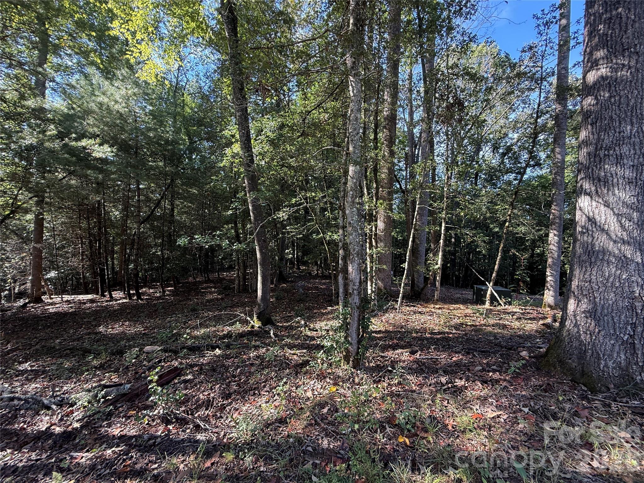 Acreage at 000 Reserve Way, Hendersonville, photo 12 of 19