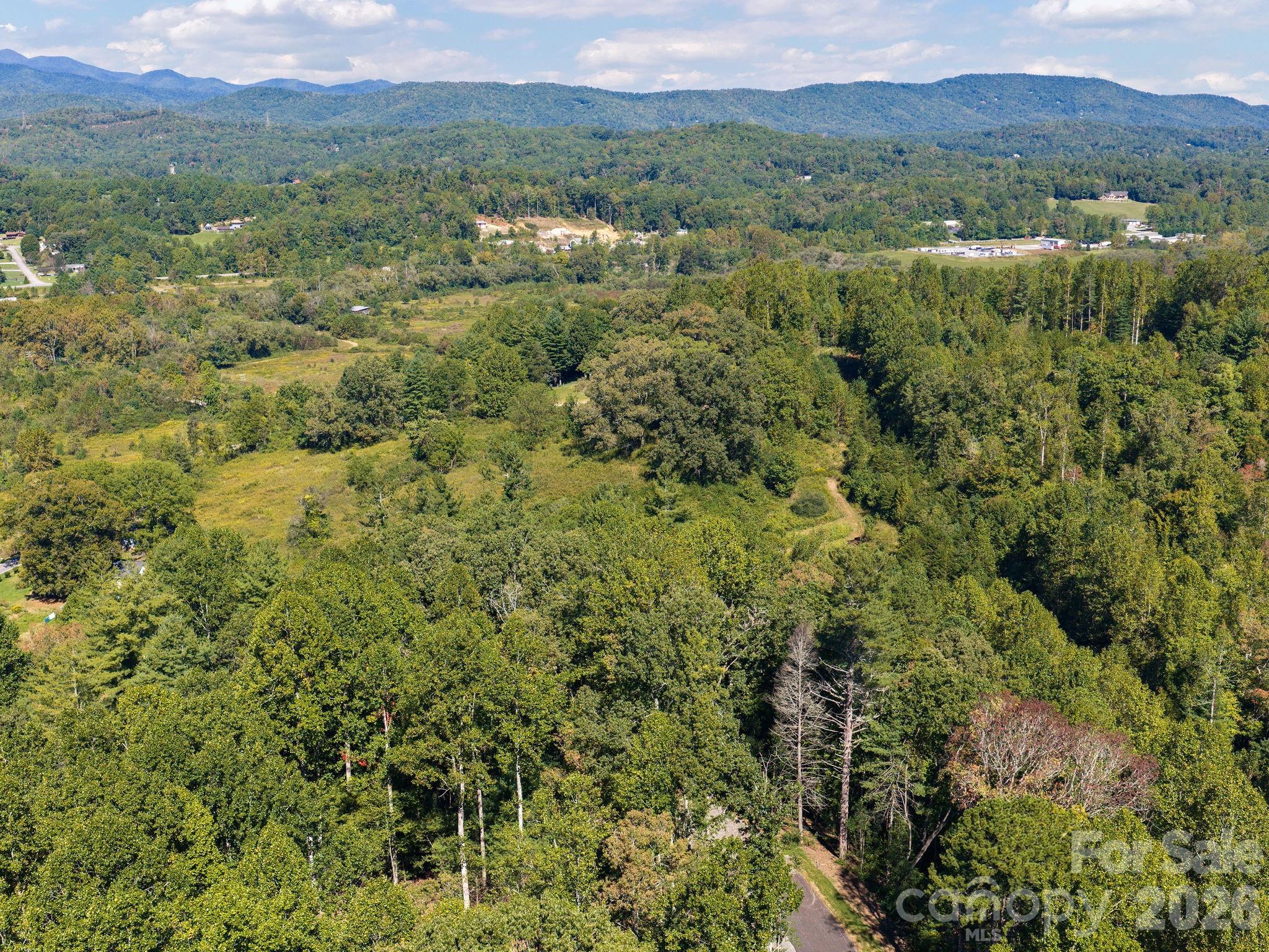 Aerial View of Wooded Lot - 000 Reserve Way, Hendersonville