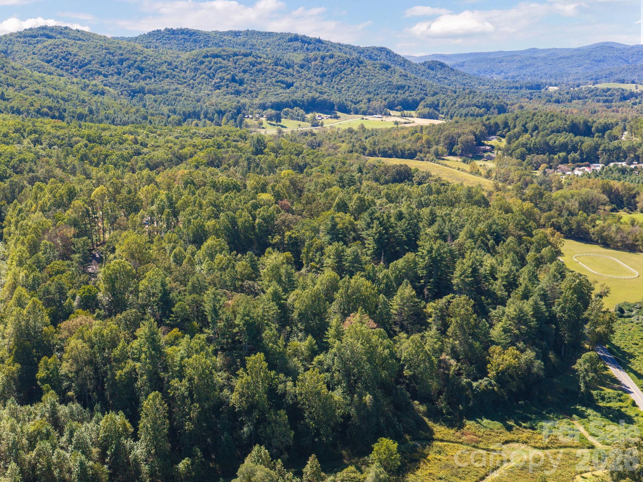 Aerial View - 000 Reserve Way, Hendersonville