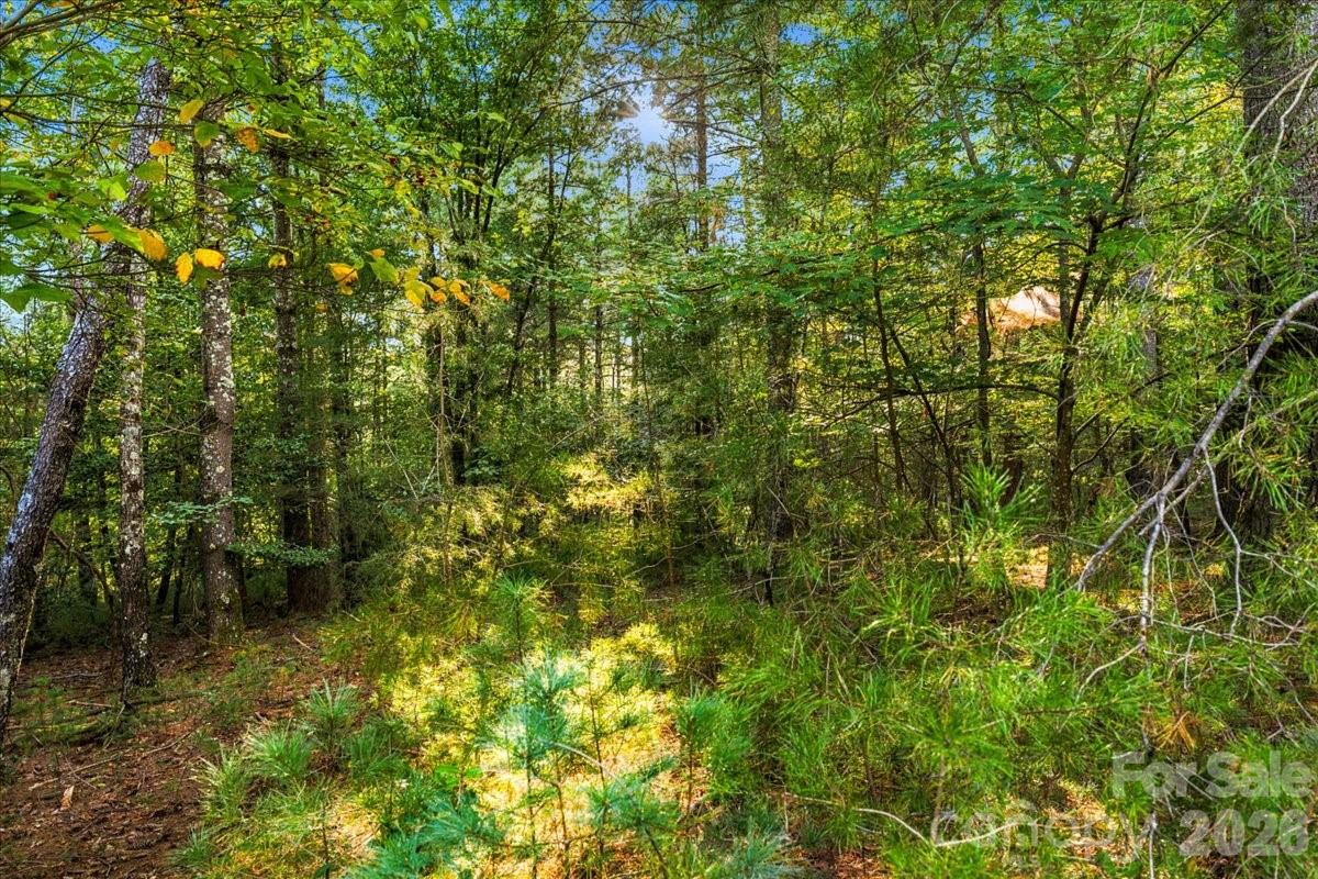 Lot at 60 Kingfisher Terrace, Nebo, photo 3 of 45