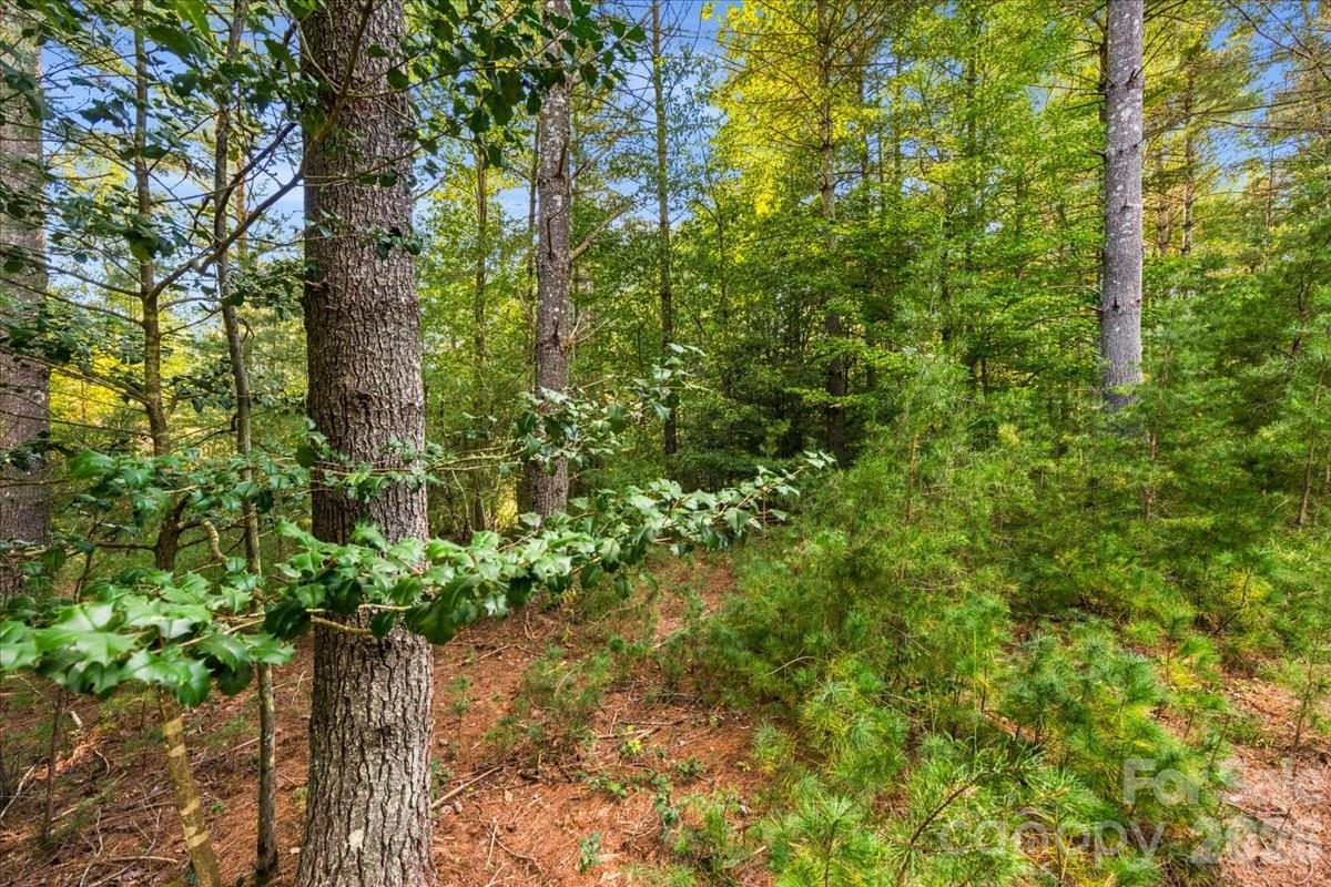 Lot at 60 Kingfisher Terrace, Nebo, photo 9 of 45
