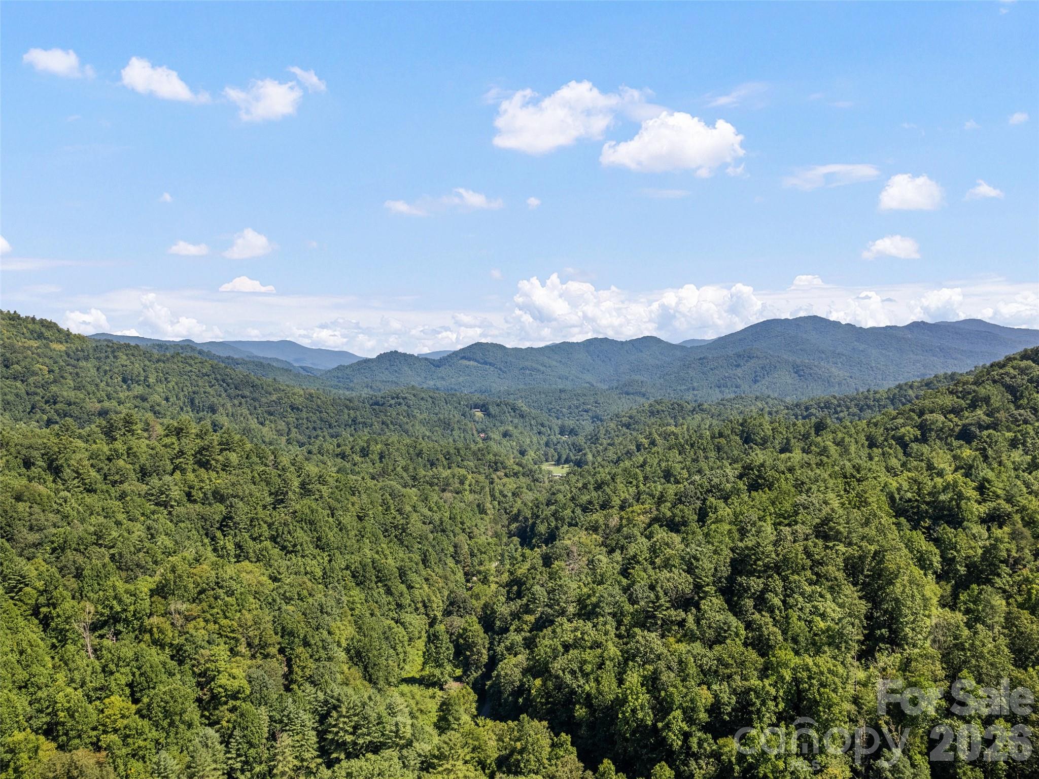 Single Family Residence at 10435 White Oak Road, Waynesville, photo 12 of 48