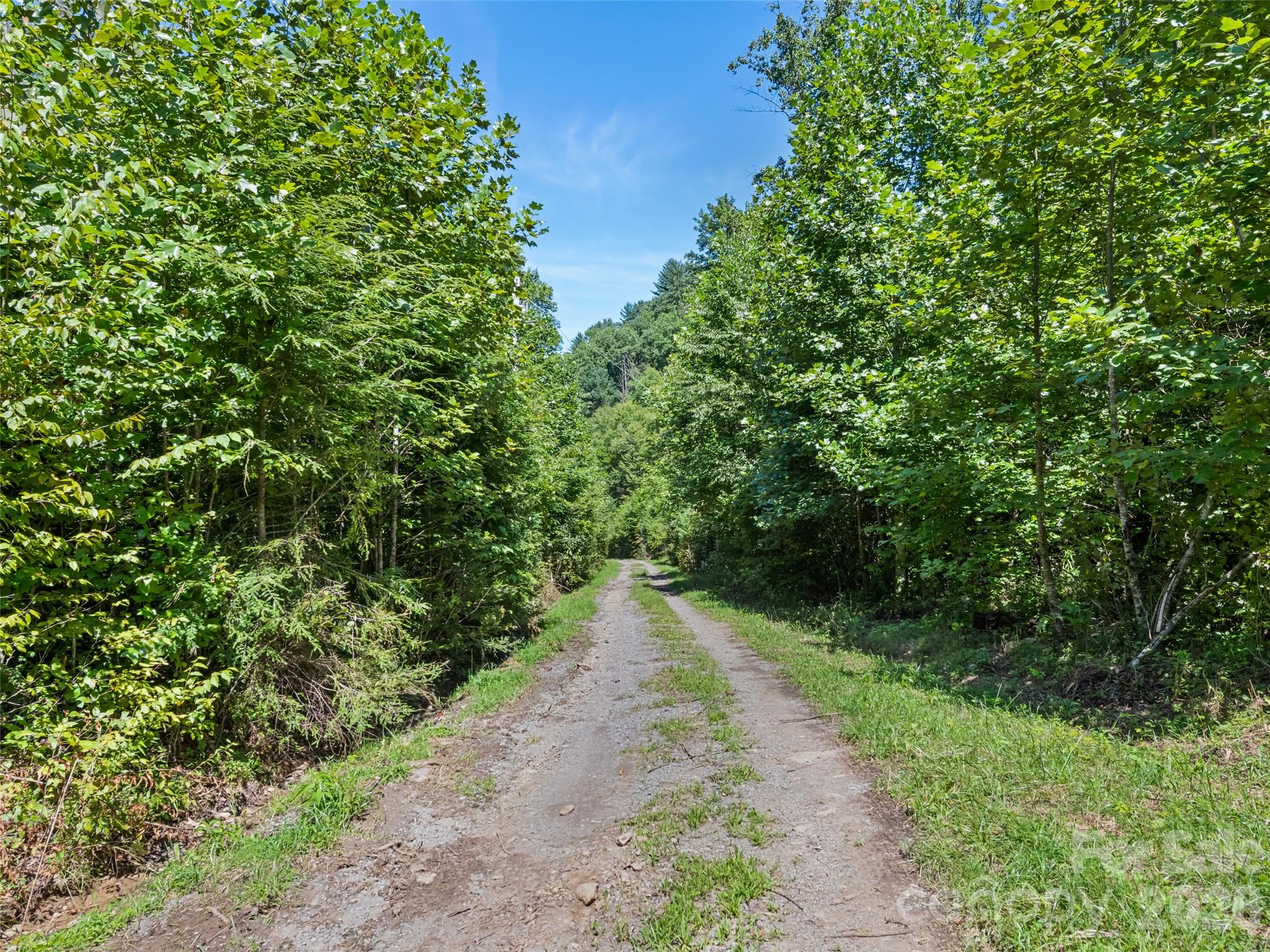 Single Family Residence at 10435 White Oak Road, Waynesville, photo 42 of 48