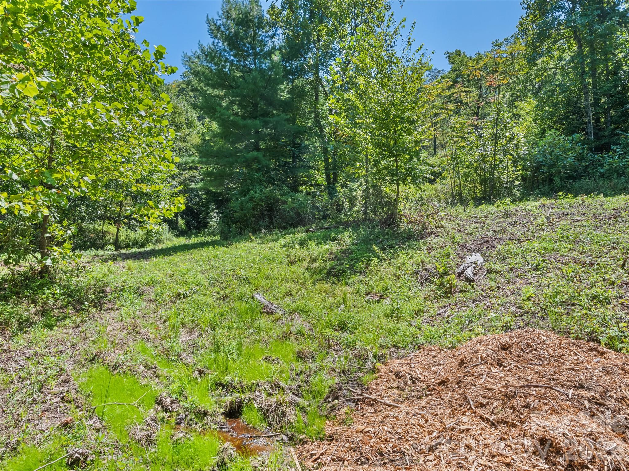 Single Family Residence at 10435 White Oak Road, Waynesville, photo 44 of 48