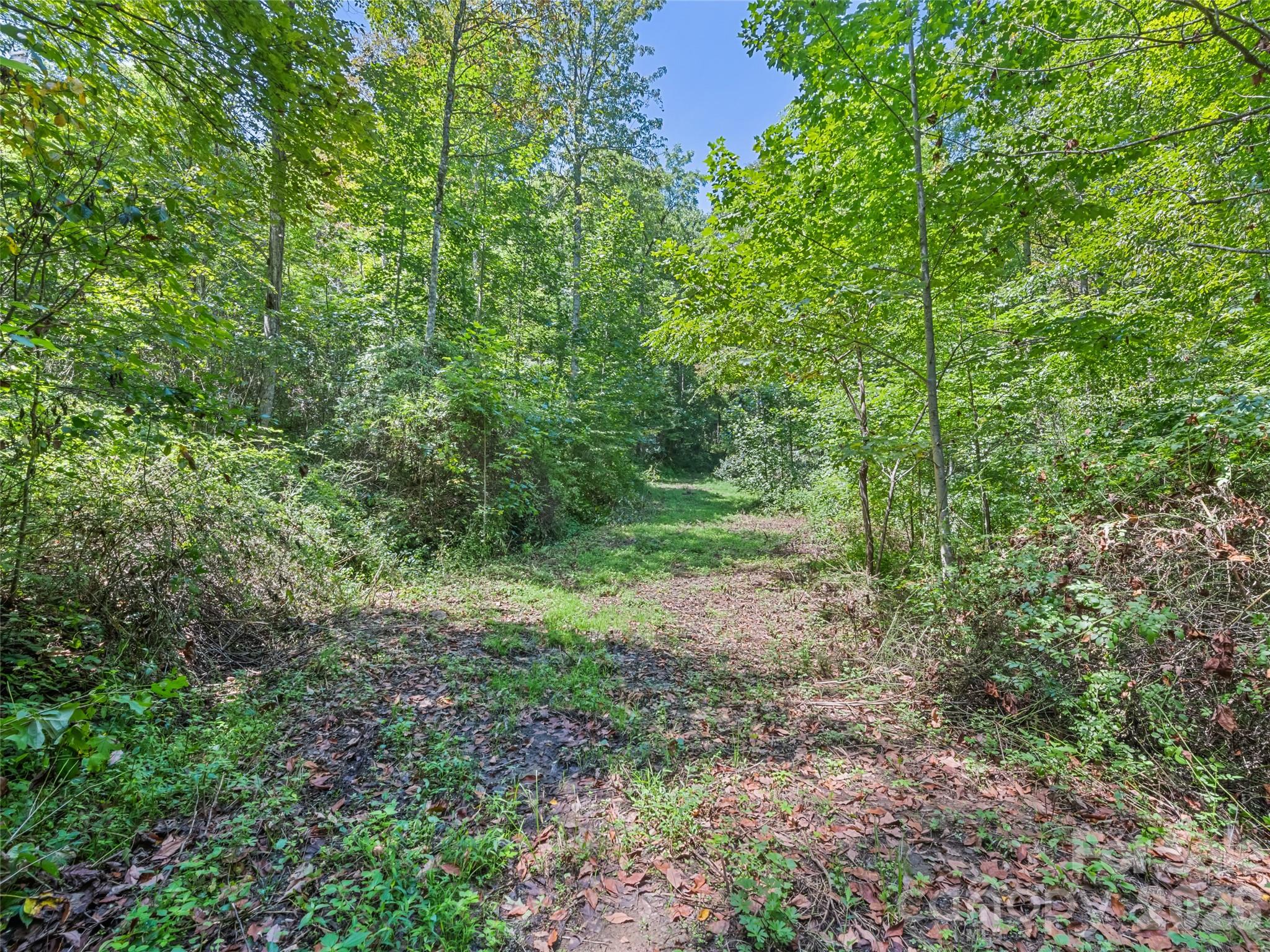 Single Family Residence at 10435 White Oak Road, Waynesville, photo 48 of 48
