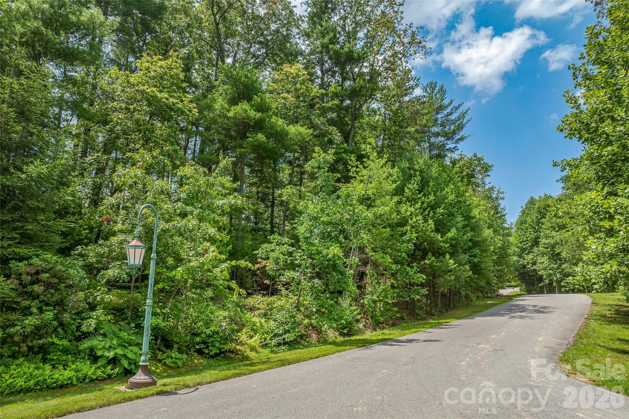Lot at 99999 Cedar Hill Drive, Biltmore Forest