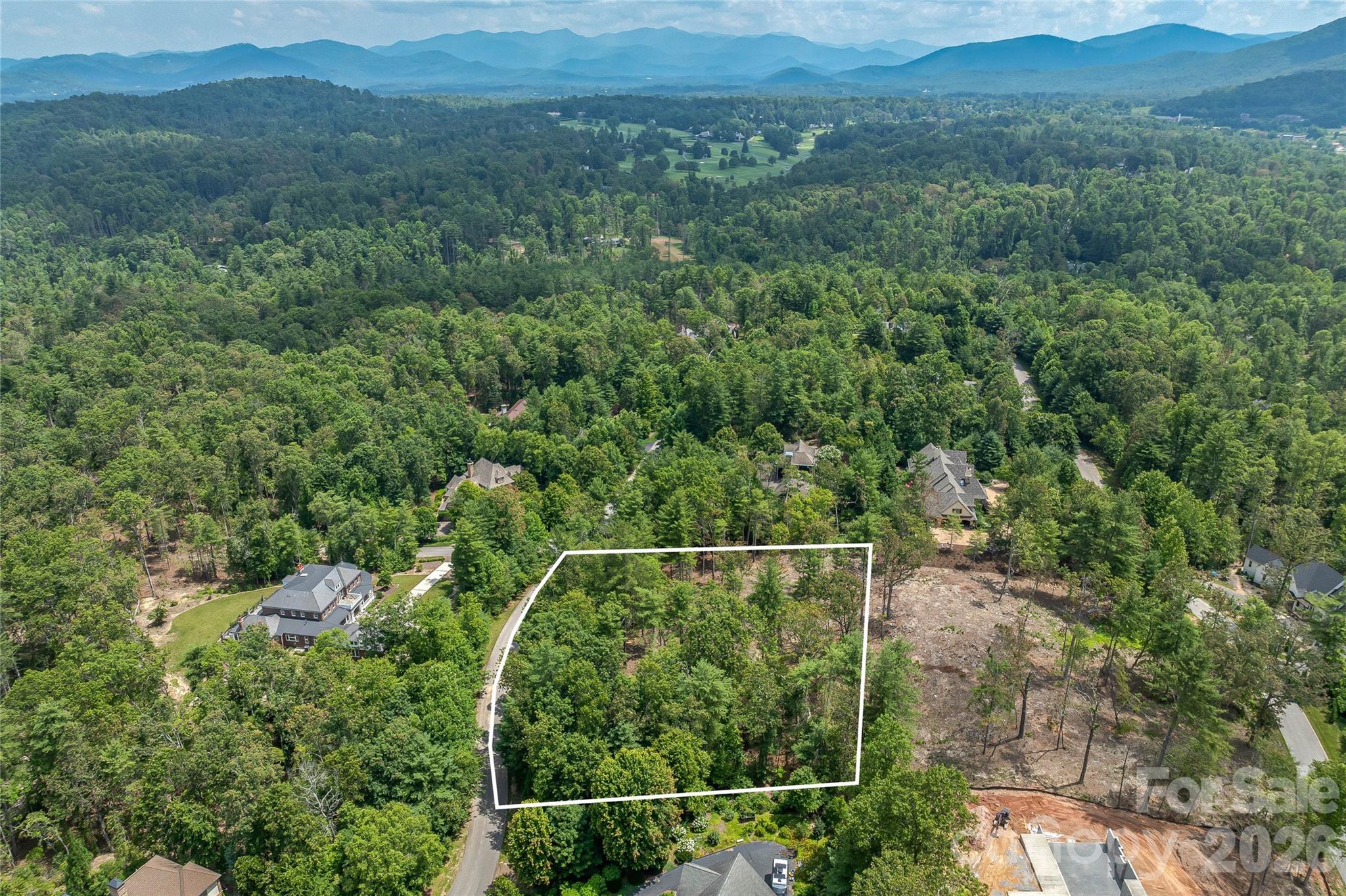 Lot at 99999 Cedar Hill Drive, Biltmore Forest, photo 3 of 20