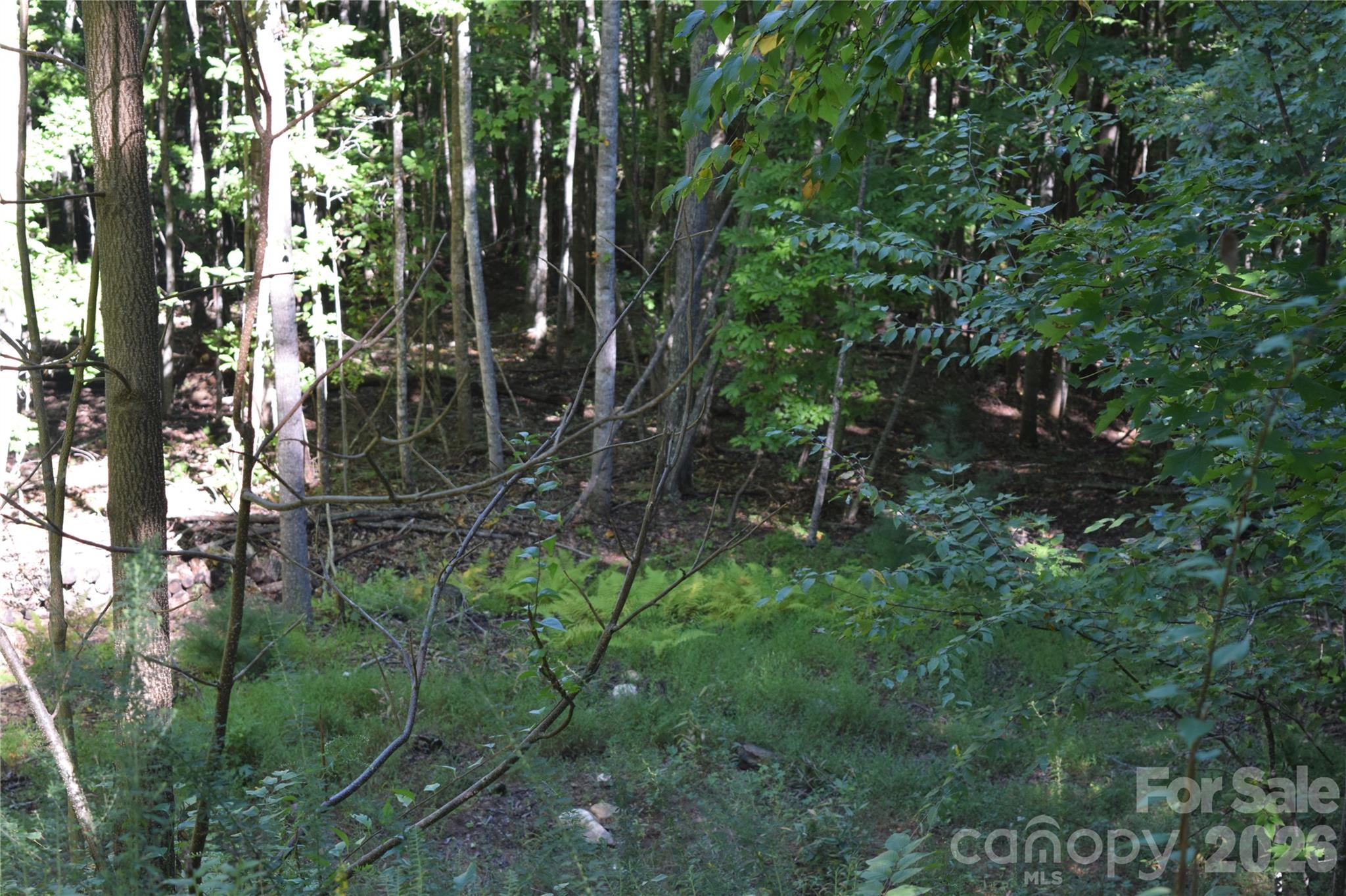 1410 N Double Knob Loop