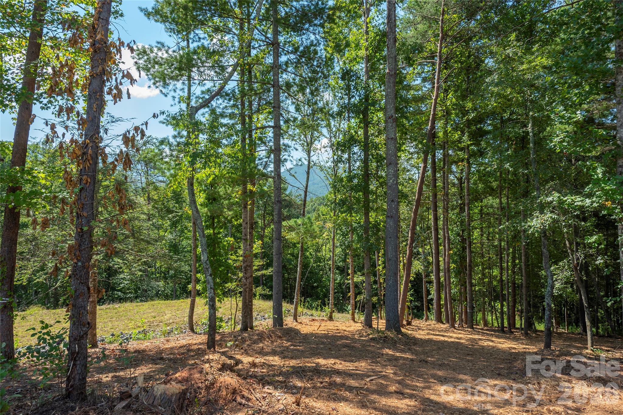 149 Riverbend Forest Drive