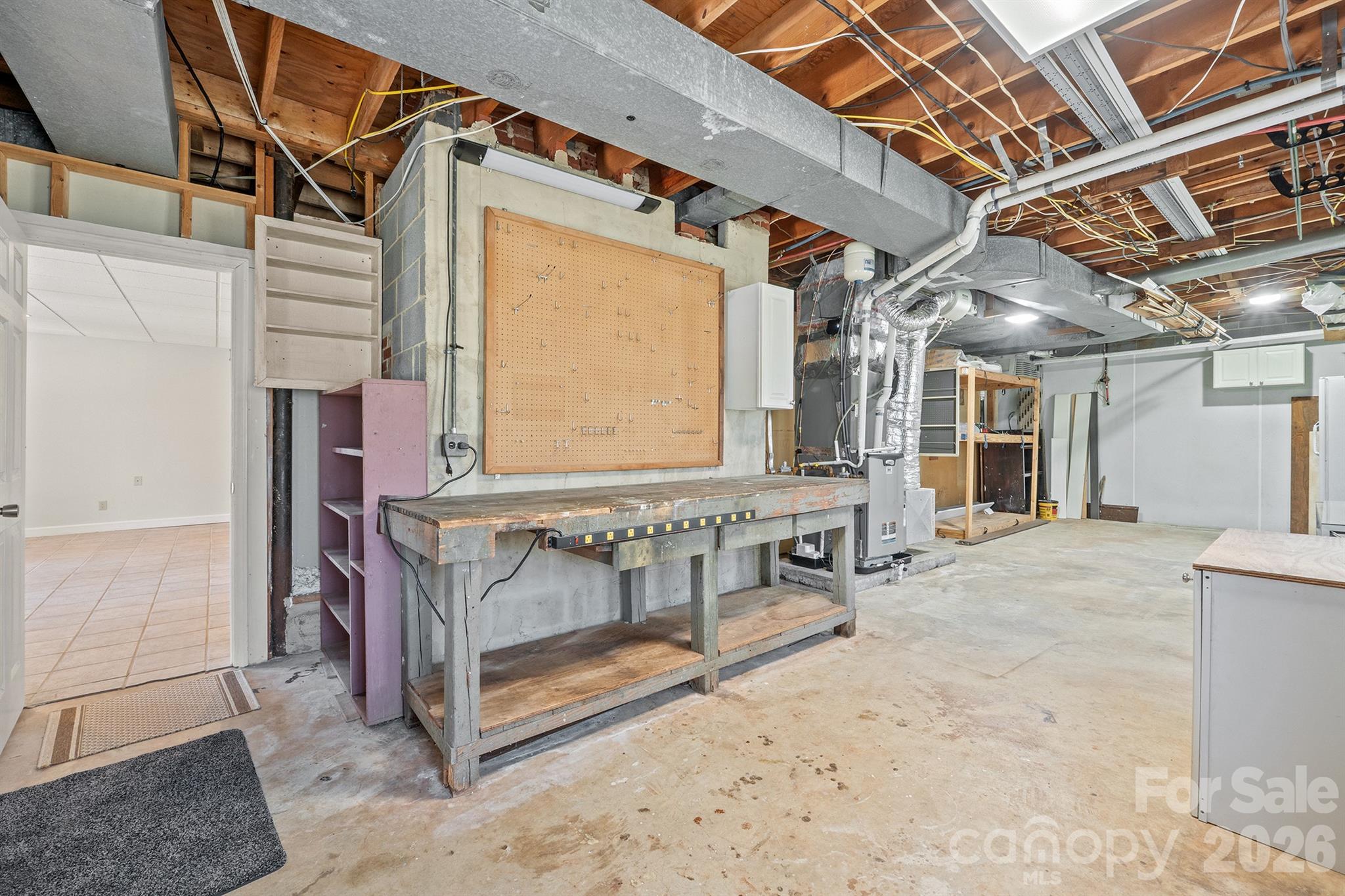 Exceptional amount of workshop space and storage with access to furnace and controls for your Rinnai tankless hot water heater - 20919 Island Forest Drive, Cornelius