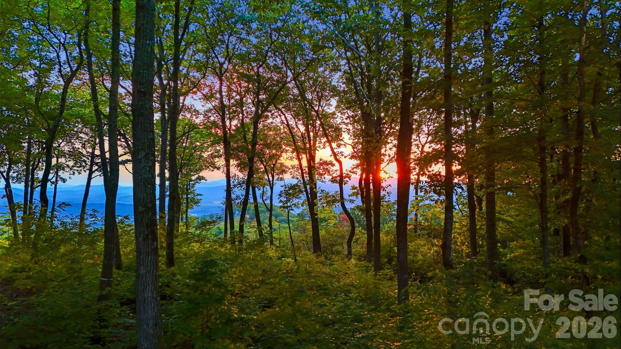 Lot at 0 Mountain Grove Lane, Fletcher, photo 2 of 3