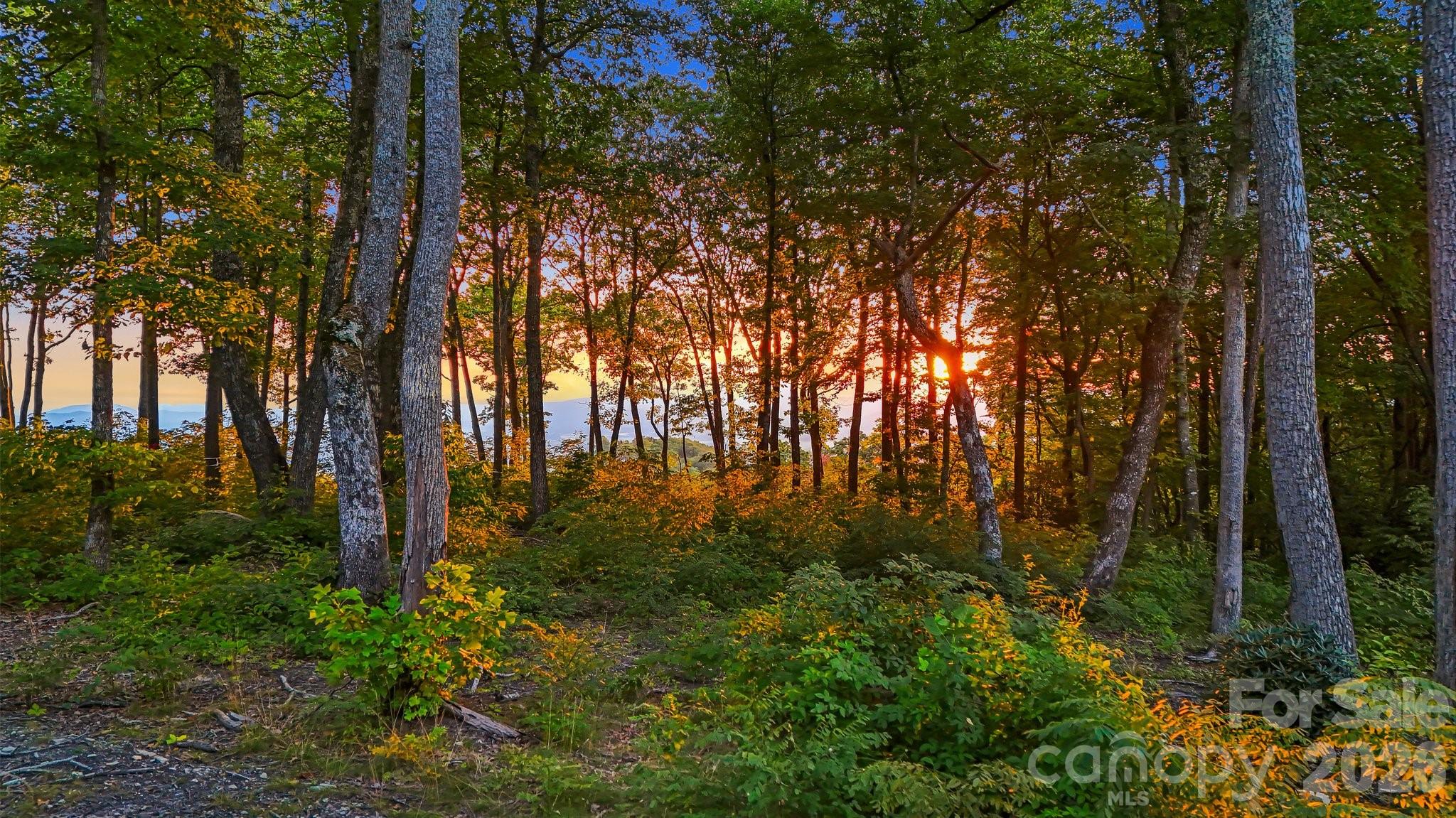 Lot at 0 Mountain Grove Lane, Fletcher, photo 3 of 3
