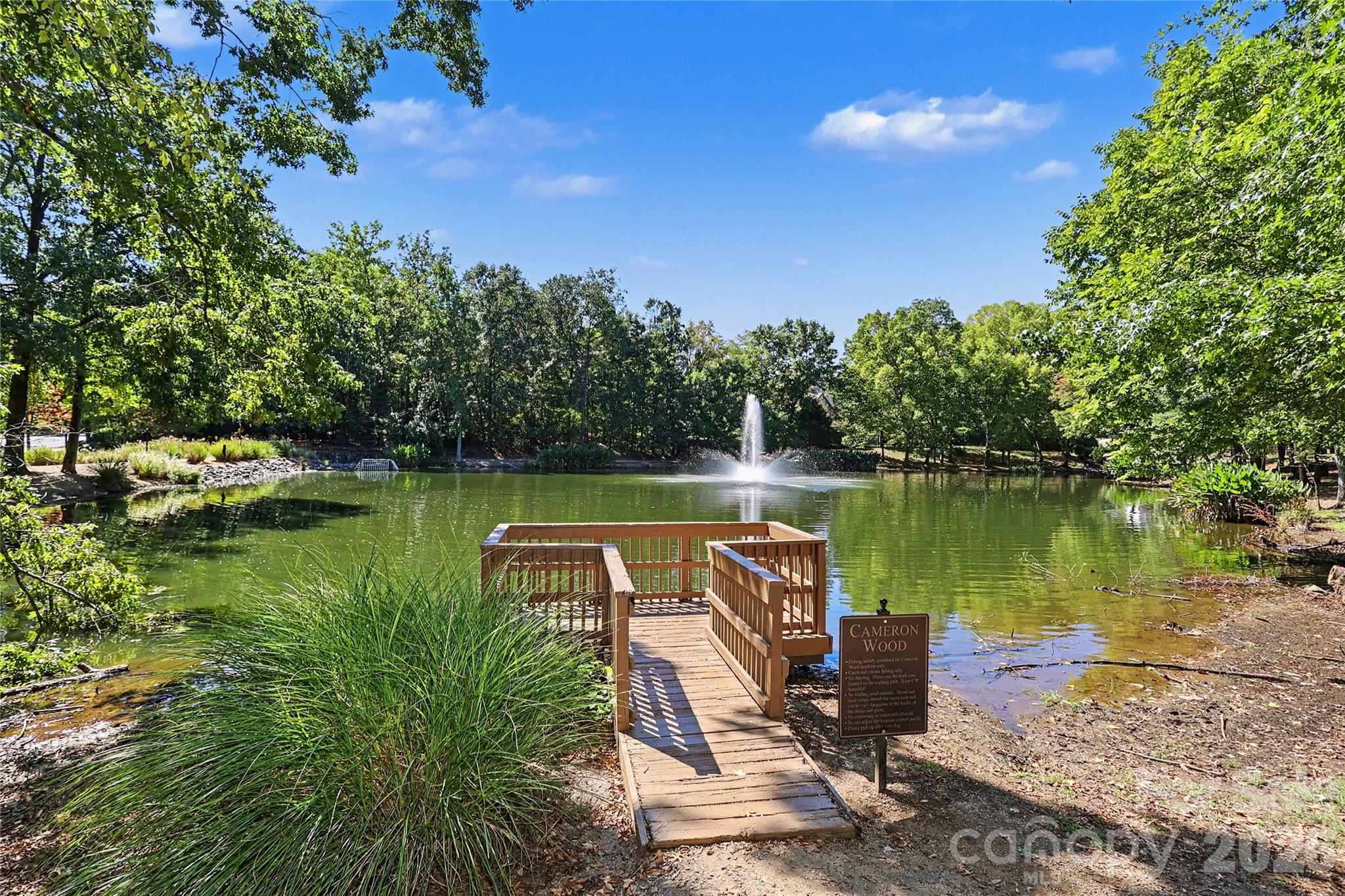 Community Pond - 9931 Deer Spring Lane, Charlotte
