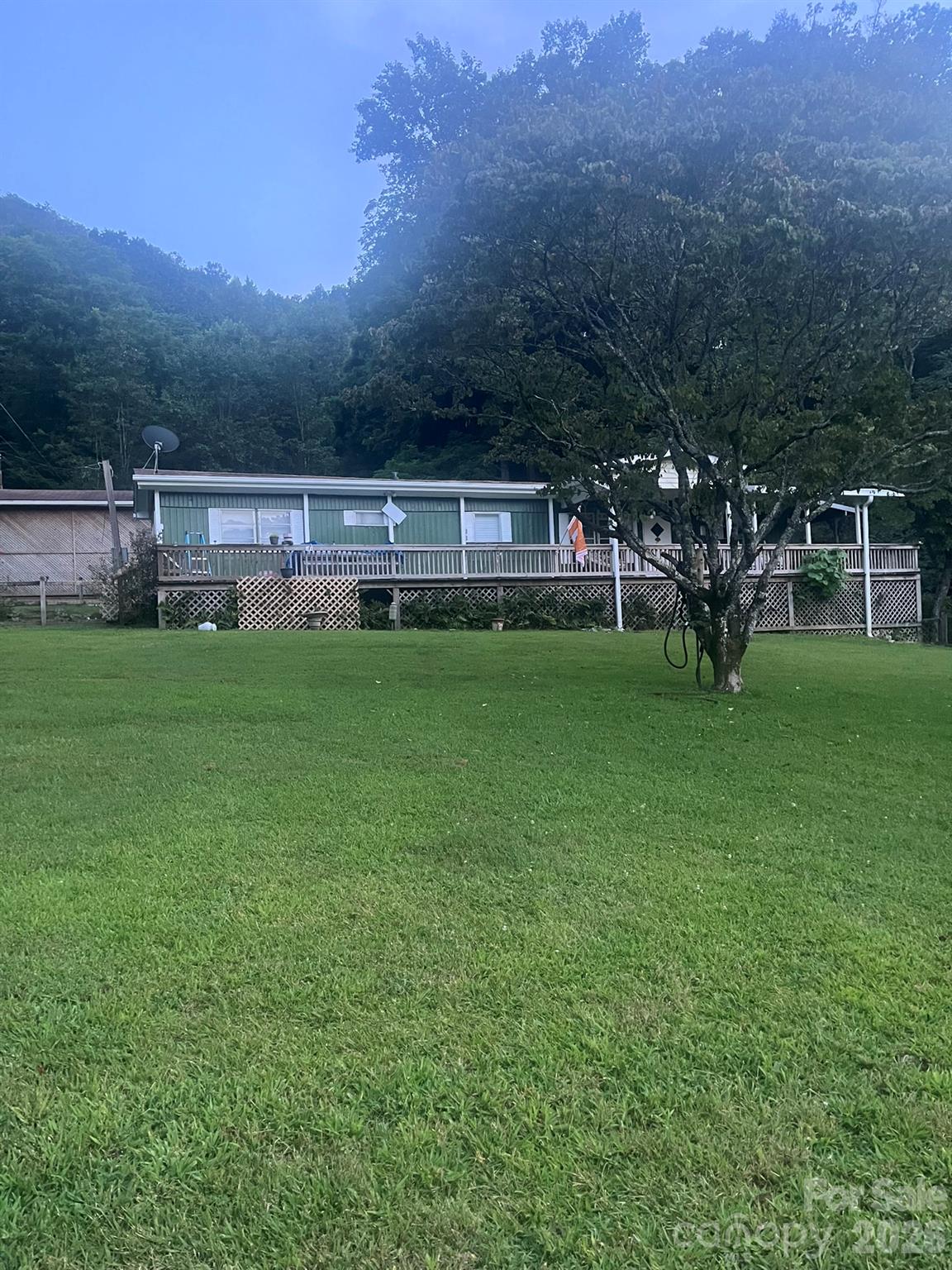 Beautiful front yard - 987 Angelwood Lane, Hendersonville