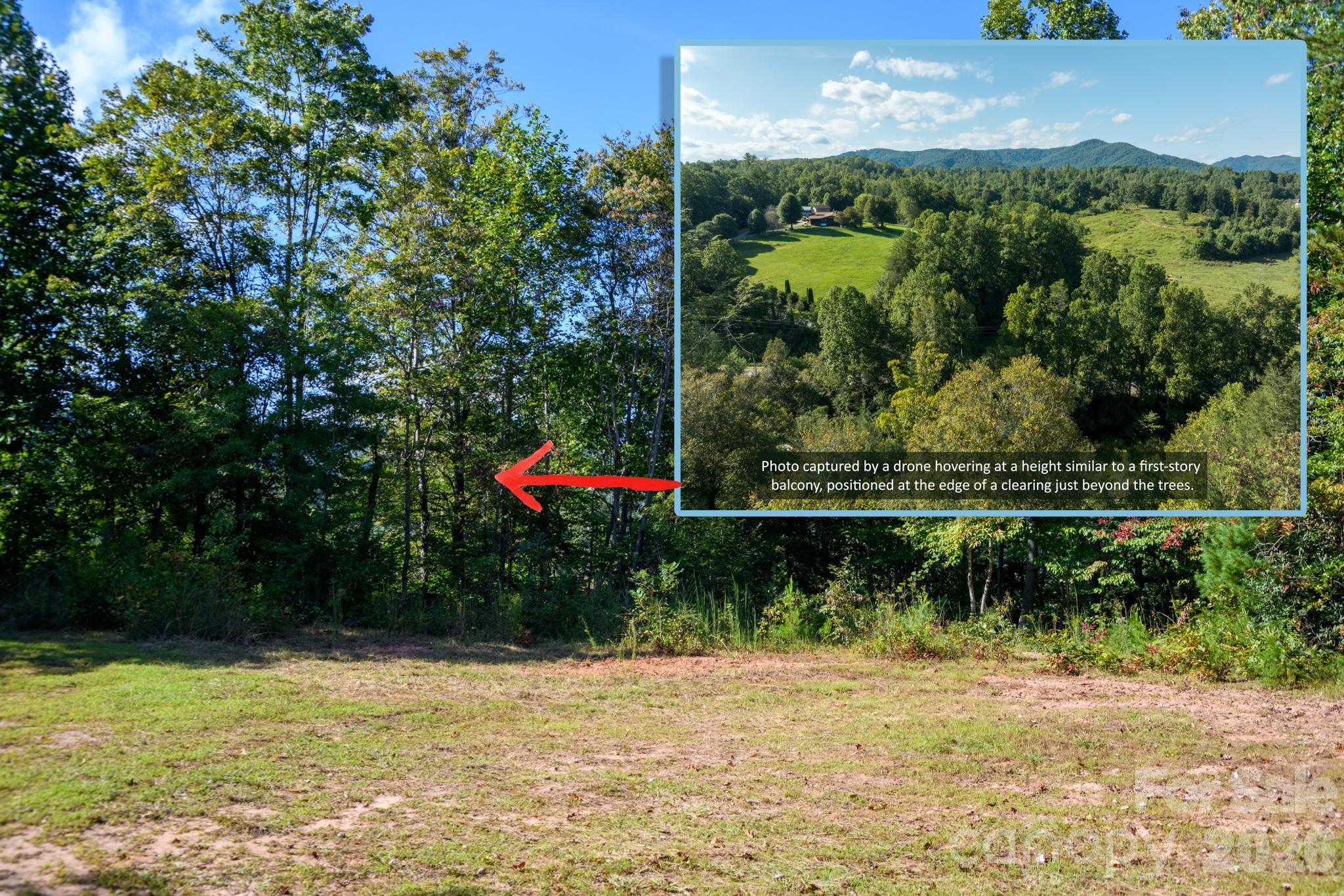 Acreage at 2340 Twin Poplars Lane, Lenoir, photo 4 of 37