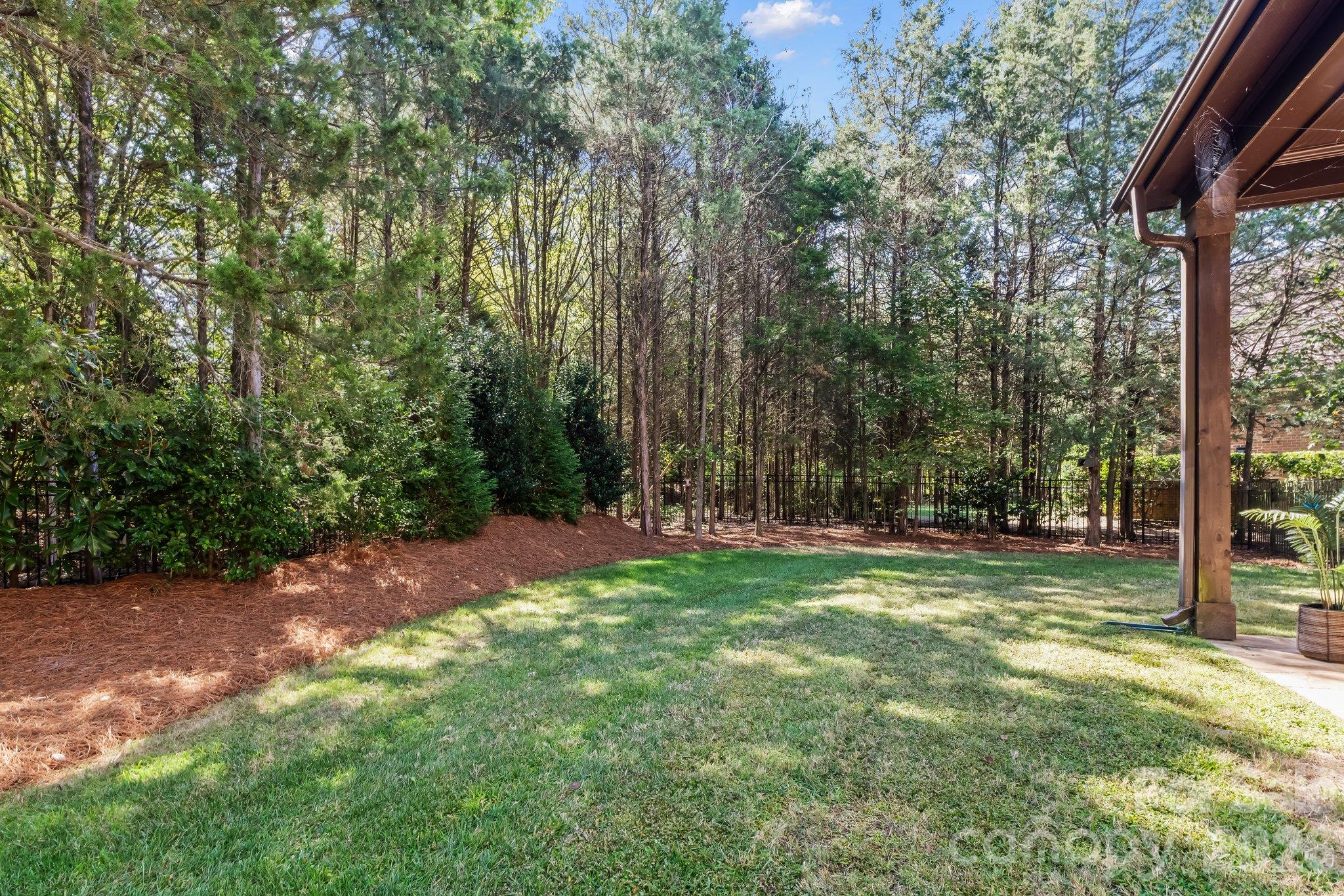 Tree-lined backyard - 227 Glenmoor Drive, Waxhaw
