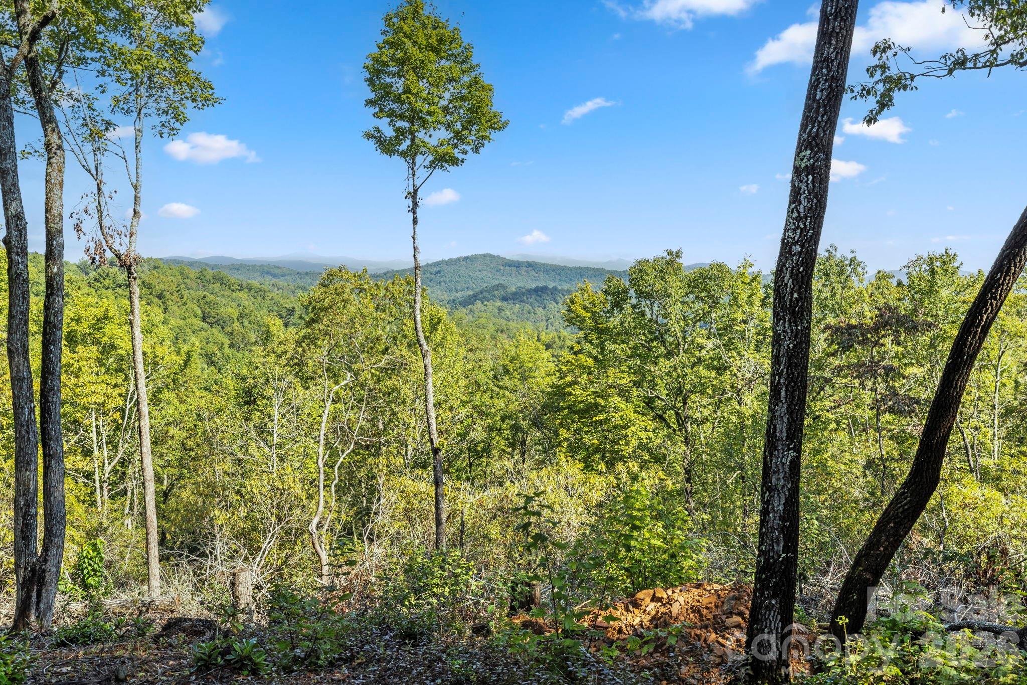 Views from Site #1 - 11763 Rosman Highway, Lake Toxaway