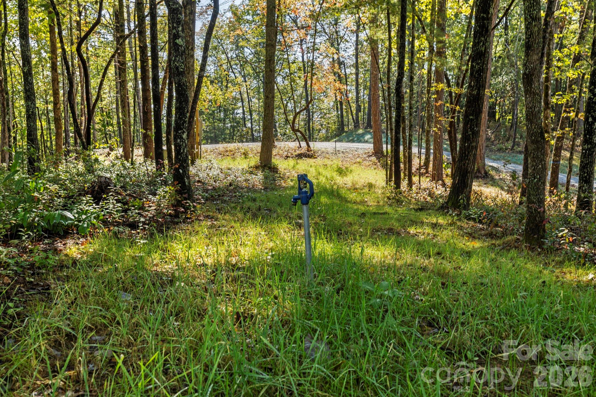 Water spigot site #1 - 11763 Rosman Highway, Lake Toxaway
