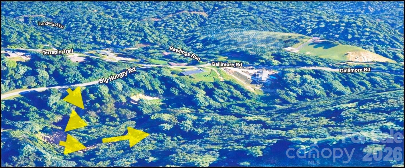 Acreage at 0 Big Hungry Road, Flat Rock, photo 3 of 15