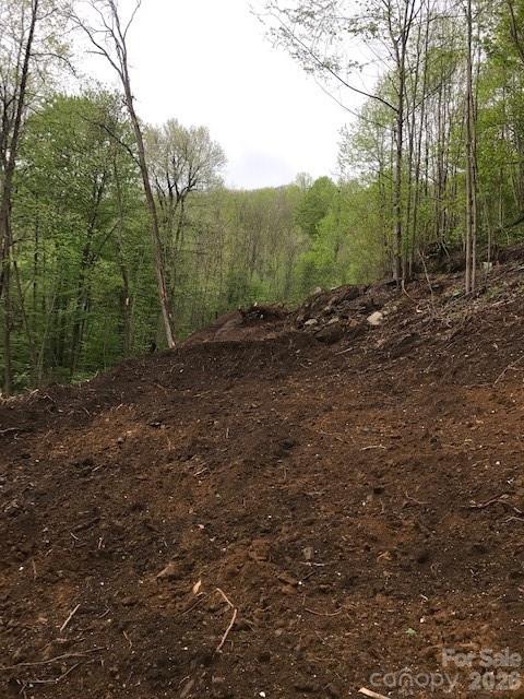 Acreage at 976 Slippery Rock Road, Waynesville, photo 5 of 8