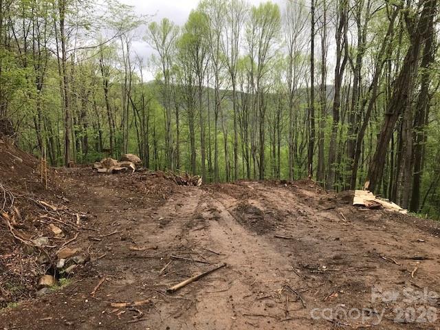 Acreage at 976 Slippery Rock Road, Waynesville, photo 6 of 8