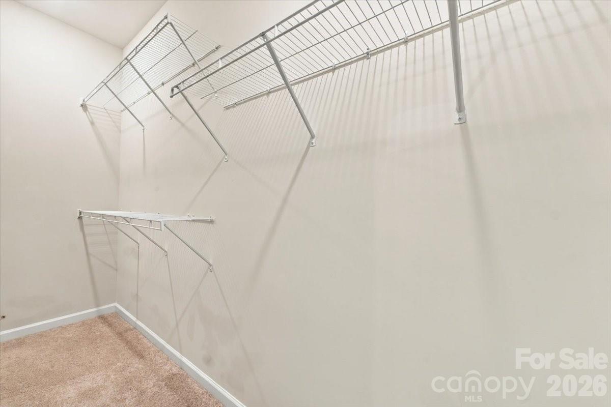 Townhouse at 536 Dorman Street, Belmont, photo 33 of 41