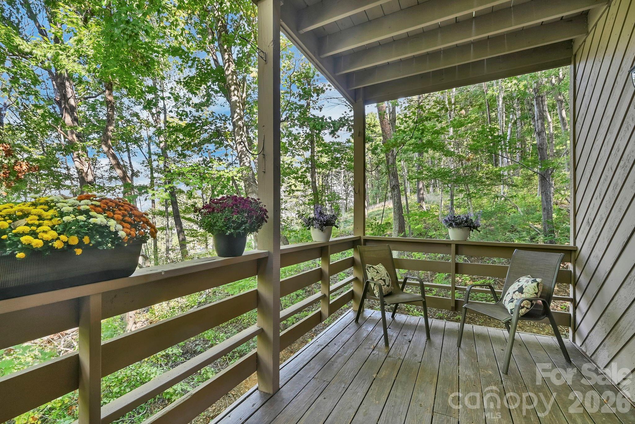 Condominium at 305 Piney Mountain Drive, Asheville, photo 4 of 18