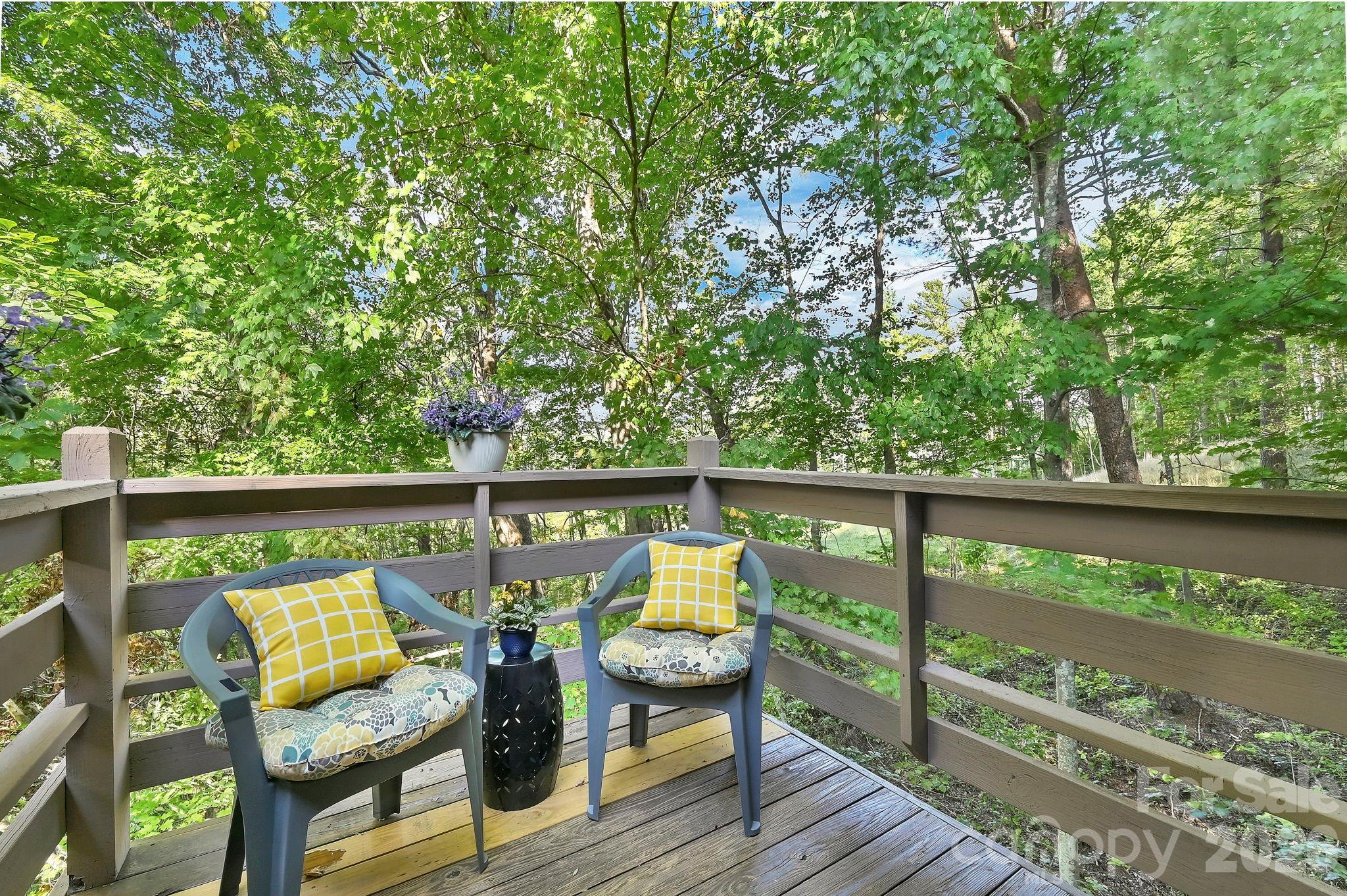 Condominium at 305 Piney Mountain Drive, Asheville, photo 13 of 18