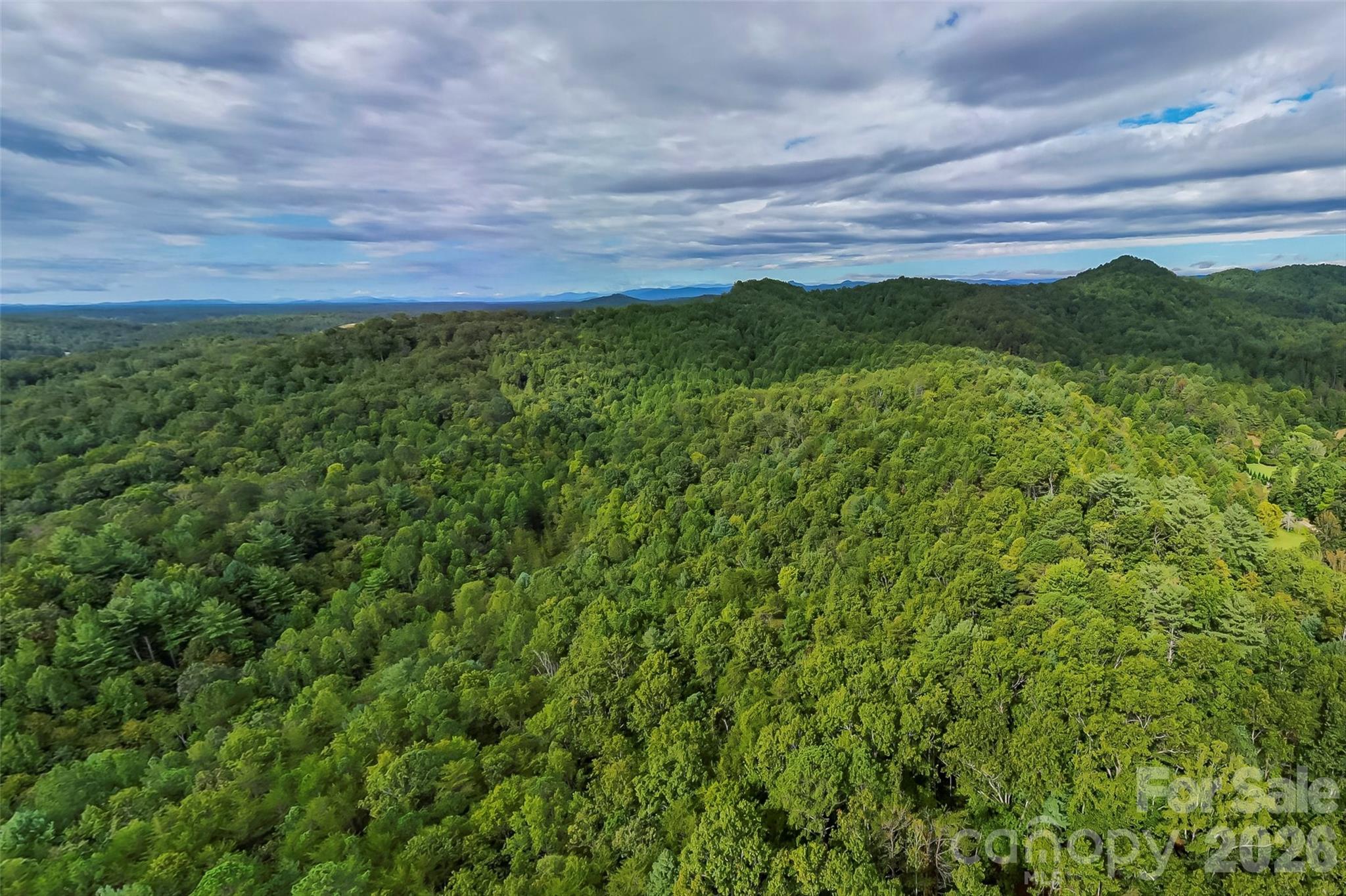 Lot at 2636 Cheraw Road, Lenoir, photo 4 of 7